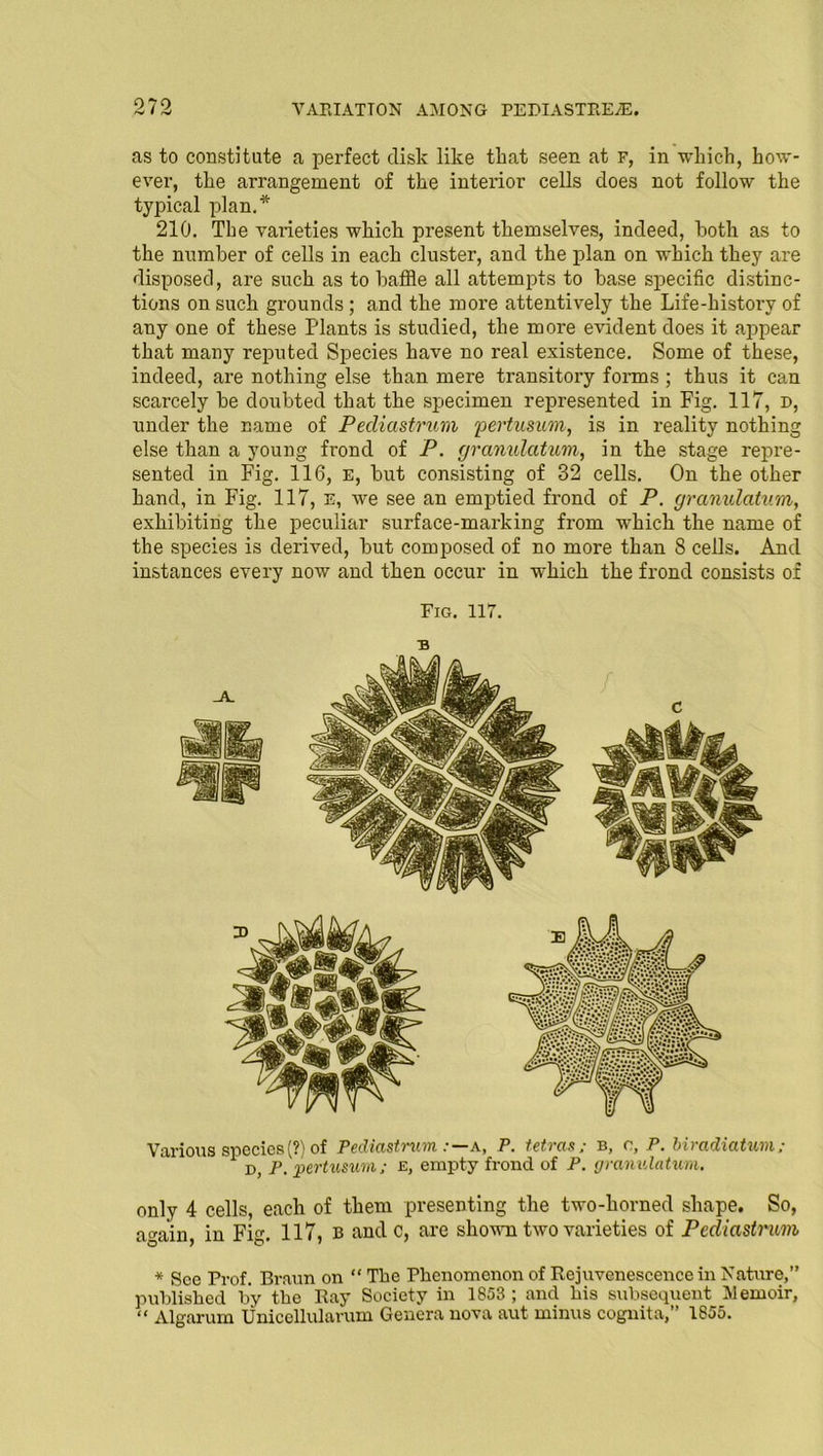 as to constitute a perfect disk like that seen at f, in which, how- ever, the arrangement of the interior cells does not follow the typical plan.* 210. The varieties which present themselves, indeed, both as to the number of cells in each cluster, and the plan on which they are disposed, are such as to baffle all attempts to base specific distinc- tions on such grounds; and the more attentively the Life-history of any one of these Plants is studied, the more evident does it appear that many reputed Species have no real existence. Some of these, indeed, are nothing else than mere transitory forms ; thus it can scarcely be doubted that the specimen represented in Fig. 117, d, under the name of Pediastrum pertusum, is in reality nothing else than a young frond of P. granulatum, in the stage repre- sented in Fig. 116, E, but consisting of 32 cells. On the other hand, in Fig. 117, e, we see an emptied frond of P. granulatum, exhibiting the peculiar surface-marking from which the name of the species is derived, but composed of no more than 8 cells. And instances every now and then occur in which the frond consists of Fig. 117. B Various species (?) of Pediastrum a, P. tetras; b, c, P. biradiatum ; d, P. pertusum; e, empty frond of P. granulatum. only 4 cells, each of them presenting the two-horned shape. So, again, in Fig. 117, b and c, are shown two varieties of Pediastrum * See Prof. Braun on “The Phenomenon of Rejuvenescence in Nature,” published by the Ray Society in 1853 ; and his subsequent Memoir, “ Algarum Unicellularum Genera nova aut minus cognita,” 1855.