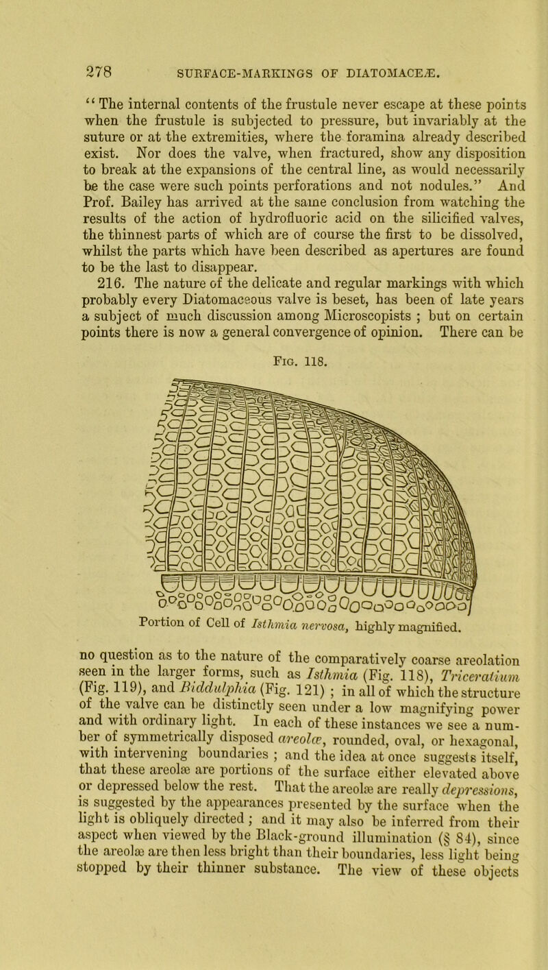 ‘ ‘ The internal contents of the frustule never escape at these points when the frustule is subjected to pressure, but invariably at the suture or at the extremities, where the foramina already described exist. Nor does the valve, when fractured, show any disposition to break at the expansions of the central line, as would necessarily be the case were such points perforations and not nodules.” And Prof. Bailey has arrived at the same conclusion from watching the results of the action of hydrofluoric acid on the silicified valves, the thinnest parts of which are of course the first to be dissolved, whilst the parts which have been described as apertures are found to be the last to disappear. 216. The nature of the delicate and regular markings with which probably every Diatomaceous valve is beset, has been of late years a subject of much discussion among Microscopists ; but on certain points there is now a general convergence of opinion. There can be Fig. 118. Poition of Cell of Isthmia nervosa, highly magnified. no question as to the nature of the comparatively coarse areolation seen in the larger forms, such as Isthmia (Fig. 118), Triceralium (Fig. 119), and Biddul/phia (Fig. 121) ; in all of which the structure of the valve can be distinctly seen under a low magnifying power and with ordinary light. In each of these instances we see a num- ber of symmetrically disposed areola% rounded, oval, or hexagonal, with intervening boundaries ; and the idea at once suggests itself, that these areolas are portions of the surface either elevated above or depressed below the rest. That the areolie are really depressions, is suggested by the appearances presented by the surface when the light is obliquely directed ; and it may also be inferred from their aspect when viewed by the Black-ground illumination (§ 84), since the areolm are then less bright than their boundaries, less light being stopped by their thinner substance. The view of these objects