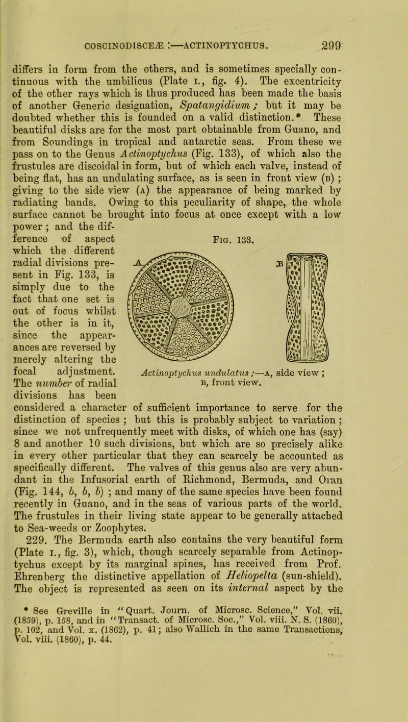 COSCINODlSCEiE : ACT1NOPTYCHUS. 209 differs in form from the others, and is sometimes specially con - tinuous with the umbilicus (Plate I., fig. 4). The excentricity of the other rays which is thus produced has been made the basis of another Generic designation, Spatangidium; but it may be doubted whether this is founded on a valid distinction.* These beautiful disks are for the most part obtainable from Guano, and from Soundings in tropical and antarctic seas. From these we pass on to the Genus Aclinoptychus (Fig. 133), of which also the frustules are discoidal in form, but of which each valve, instead of being flat, has an undulating surface, as is seen in front view (b) ; giving to the side view (a) the appearance of being marked by radiating bands. Owing to this peculiarity of shape, the whole surface cannot be brought into focus at once except with a low power ; and the dif- ference of aspect which the different radial divisions pre- sent in Fig. 133, is simply due to the fact that one set is out of focus whilst the other is in it, since the appear- ances are reversed by merely altering the focal adjustment. The number of radial divisions has been considered a character of sufficient importance to serve for the distinction of species ; but this is probably subject to variation ; since we not unfrequently meet with disks, of which one has (say) 8 and another 10 such divisions, but which are so precisely alike in every other particular that they can scarcely be accounted as specifically different. The valves of this genus also are very abun- dant in the Infusorial earth of Richmond, Bermuda, and Oran (Fig. 144, b, b, b) ; and many of the same species have been found recently in Guano, and in the seas of various parts of the world. The frustules in their living state appear to be generally attached to Sea-weeds or Zoophytes. 229. The Bermuda earth also contains the very beautiful form (Plate i., fig. 3), which, though scarcely separable from Actinop- tychus except by its marginal spines, has received from Prof. Ehrenberg the distinctive appellation of Heliopelta (sun-shield). The object is represented as seen on its internal aspect by the * See Greville in “Quart. Joum. of Microsc. Science,” Vol. vii. (1859), p. 158, and in “Transact, of Microsc. Soc.,” Vol. viii. N. S. (1860), p. 102, and Vol. x. (1862), p. 41; also Wallich in the same Transactions, Vol. viii. (1860), p. 44. Fig. 133. b, front view.