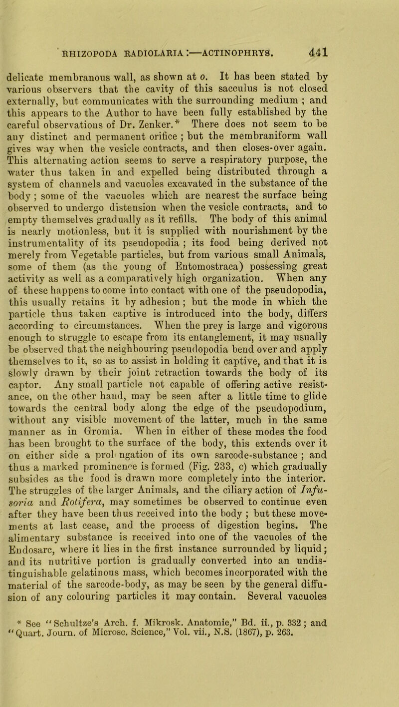 delicate membranous wall, as shown at o. It has been stated by various observers that the cavity of this sacc.ulus is not closed externally, but communicates with the surrounding medium ; and this appears to the Author to have been fully established by the careful observations of Dr. Zenker.* There does not seem to be any distinct and permanent orifice ; but the membraniform wall gives way when the vesicle contracts, and then closes-over again. This alternating action seems to serve a respiratory purpose, the water thus taken in and expelled being distributed through a system of channels and vacuoles excavated in the substance of the body ; some of the vacuoles which are nearest the surface being observed to undergo distension when the vesicle contracts, and to empty themselves gradually as it refills. The body of this animal is nearly motionless, but it is supplied with nourishment by the instrumentality of its pseudopodia ; its food being derived not merely from Vegetable particles, but from various small Animals, some of them (as the young of Entomostraca) possessing great activity as well as a comparatively high organization. When any of these happens to come into contact with one of the pseudopodia, this usually retains it by adhesion ; but the mode in which the particle thus taken captive is introduced into the body, differs according to circumstances. When the prey is large and vigorous enough to struggle to escape from its entanglement, it may usually be observed that the neighbouring pseudopodia bend over and apply themselves to it, so as to assist in holding it captive, and that it is slowly drawn by their joint retraction towards the body of its captor. Any small particle not capable of offering active resist- ance, on the other hand, may be seen after a little time to glide towards the central body along the edge of the pseudopodium, without any visible movement of the latter, much in the same manner as in Gromia. When in either of these modes the food has been brought to the surface of the body, this extends over it on either side a prof ngation of its own sarcode-substance ; and thus a marked prominence is formed (Fig. 233, c) which gradually subsides as the food is drawn more completely into the interior. The struggles of the larger Animals, and the ciliary action of Infu- soria and Rolifera, may sometimes be observed to continue even after they have been thus received into the body ; but these move- ments at last cease, and the process of digestion begins. The alimentary substance is received into one of the vacuoles of the Endosarc, where it lies in the first instance surrounded by liquid; and its nutritive portion is gradually converted into an undis- tinguishable gelatinous mass, which becomes incorporated with the material of the sarcode-body, as may be seen by the general diffu- sion of any colouring particles it may contain. Several vacuoles * See “Schultze’s Arch. f. Mikrosk. Anatomie,” Bd. ii., p. 332 ; and “Quart. Joum. of Microsc. Science,” Vol. vii., N.S. (18C7), p. 263.