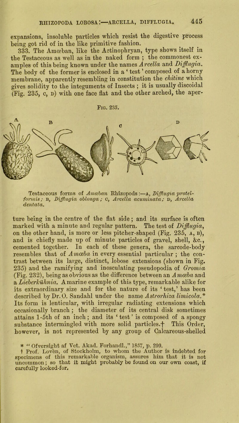 expansions, insoluble particles which resist the digestive process being got rid of in the like primitive fashion. 333. The Amoeban, like the Actinophryan, type shows itself in the Testaceous as well as in the naked form ; the commonest ex- amples of this being known under the names Arcella and Difflugia. The body of the former is enclosed in a ‘ test ’ composed of a horny membrane, apparently resembling in constitution the chitine which gives solidity to the integuments of Insects ; it is usually discoidal (Fig. 235, c, d) with one face flat and the other arched, the aper- Fig. 235. Testaceous forms of Amoeban Rhizopods:—a, Difflugia protei- forviis; b, Difflugia oblong a; c, Arcella acuminata; D, Arcella dentata. ture being in the centre of the flat side; and its surface is often marked with a minute and regular pattern. The test of Difflugia, on the other hand, is more or less pitcher-shaped (Fig. 235, a, b), and is chiefly made up of minute particles of gravel, shell, &c., cemented together. In each of these genera, the sarcode-body resembles that of Amoeba in every essential particular ; the con- trast between its large, distinct, lobose extensions (shown in Fig. 235) and the ramifying and inosculating pseudopodia of Gromia (Fig. 232), being as obvious as the difference between an Amoeba and a Liebcrkuhnia. Amarine example of this type, remarkable alike for its extraordinary size and for the nature of its ‘test,’ has been described by Dr. 0. Sandahl under the name Astrorliiza limicola.* Its form is lenticular, with irregular radiating extensions which occasionally branch ; the diameter of its central disk sometimes attains l-5th of an inch; and its ‘test’ is composed of a spongy substance intermingled with more solid particles.-f- This Order, however, is not represented by any group of Calcareous-shelled * “ Ofversight af Vet. Akad. Forhandl.,” 1857, p. 299. t Prof. Lovfen, of Stockholm, to whom the Author is indebted for specimens of this remarkable organism, assures him that it is not uncommon; so that it might probably be found on our own coast, if carefully looked-for.