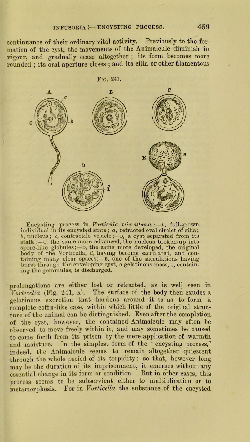 continuance of their ordinary vital activity. Previously to the for- mation of the cyst, the movements of the Animalcule diminish in vigour, and gradually cease altogether ; its form becomes more rounded ; its oral aperture closes ; and its cilia or other filamentous Fig. 241. A. B Encysting process in Vorticella microstoma:—a, full-grown individual in its encysted state; a, retracted oval circlet of cilia; b, nucleus; c, contractile vesicle;—b, a cyst separated from its stalk ;—c, the same more advanced, the nucleus broken-up into spore-like globules;—d, the same more developed, the original body of the Vorticella, d, having become sacculated, and con- taining many clear spaces;—e, one of the sacculations having burst through the enveloping cyst, a gelatinous mass, e, contain- ing the gemmules, is discharged. prolongations are either lost or retracted, as is well seen in Vorticeha (Fig. 241, a). The surface of the body then exudes a gelatinous excretion that hardens around it so as to form a complete coffin-like case, within which little of the original struc- ture of the animal can be distinguished. Even after the completion of the cyst, however, the contained Animalcule may often be observed to move freely within it, and may sometimes be caused to come forth from its prison by the mere application of warmth and moisture. In the simplest form of the ‘ encysting process,’ indeed, the Animalcule seems to remain altogether quiescent through the w'hole period of its torpidity ; so that, however long may be the duration of its imprisonment, it emerges without any essential change in its form or condition. But in other cases, this process seems to be subservient either to multiplication or to metamorphosis. For in Vorticella the substance of the encysted