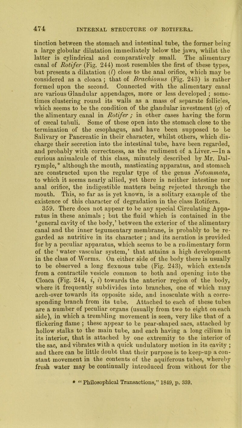 tinction between the stomach and intestinal tube, the former being a large globular dilatation immediately below the jaws, whilst the latter is cylindrical and comparatively small. The alimentary canal of Rotifer (Fig. 244) most resembles the first of these types, but presents a dilatation (/) close to the anal orifice, which may be considered as a cloaca ; that of Brachionus (Fig. 243) is rather formed upon the second. Connected with the alimentary canal are various Glandular appendages, more or less developed ; some- times clustering round its walls as a mass of separate follicles, which seems to be the condition of the glandular investment (g) of the alimentai'y canal in Rotifer ; in other cases having the form of csecal tubuli. Some of these open into the stomach close to the termination of the oesophagus, and have been supposed to be Salivary or Pancreatic in their character, whilst others, which dis- charge their secretion into the intestinal tube, have been regarded, and probably with correctness, as the rudiment of a Liver.—In a curious animalcule of this class, minutely described by Mr. Dai- ry mple,* although the mouth, masticating apparatus, and stomach are constructed upon the regular type of the genus Notommata, to which it seems nearly allied, yet there is neither intestine nor anal orifice, the indigestible matters being rejected through the mouth. This, so far as is yet known, is a solitary example of the existence of this character of degradation in the class Rotifera. 359. There does not appear to be any special Circulating Appa- ratus in these animals ; but the fluid which is contained in the ‘general cavity of the body,’ between the exterior of the alimentary- canal and the inner tegumentary membrane, is probably to be re- garded as nutritive in its character ; and its aeration is provided for by a peculiar apparatus, which seems to be a rudimentary form of the * water- vascular system,’ that attains a high development in the class of Worms. On either side of the body there is usually to be observed a long tiexuous tube (Fig. 243), which extends from a contractile vesicle common to both and opening into the Cloaca (Fig. 244, i, i) towards the anterior region of the body, where it frequently subdivides into branches, one of which may arch-over towards its opposite side, and inosculate with a corre- sponding branch from its tube. Attached to each of these tubes are a number of peculiar organs (usually from two to eight on each side), in which a trembling movement is seen, very like that of a flickering flame ; these appear to be pear-shaped sacs, attached by hollow stalks to the main tube, and each having a long cilium in its interior, that is attached by one extremity to the interior of the sac, and vibrates with a quick undulatory motion in its cavity ; and there can be little doubt that their purpose is to keep-up a con- stant movement in the contents of the aquiferous tubes, whereby fresh water may be continually introduced from without for the