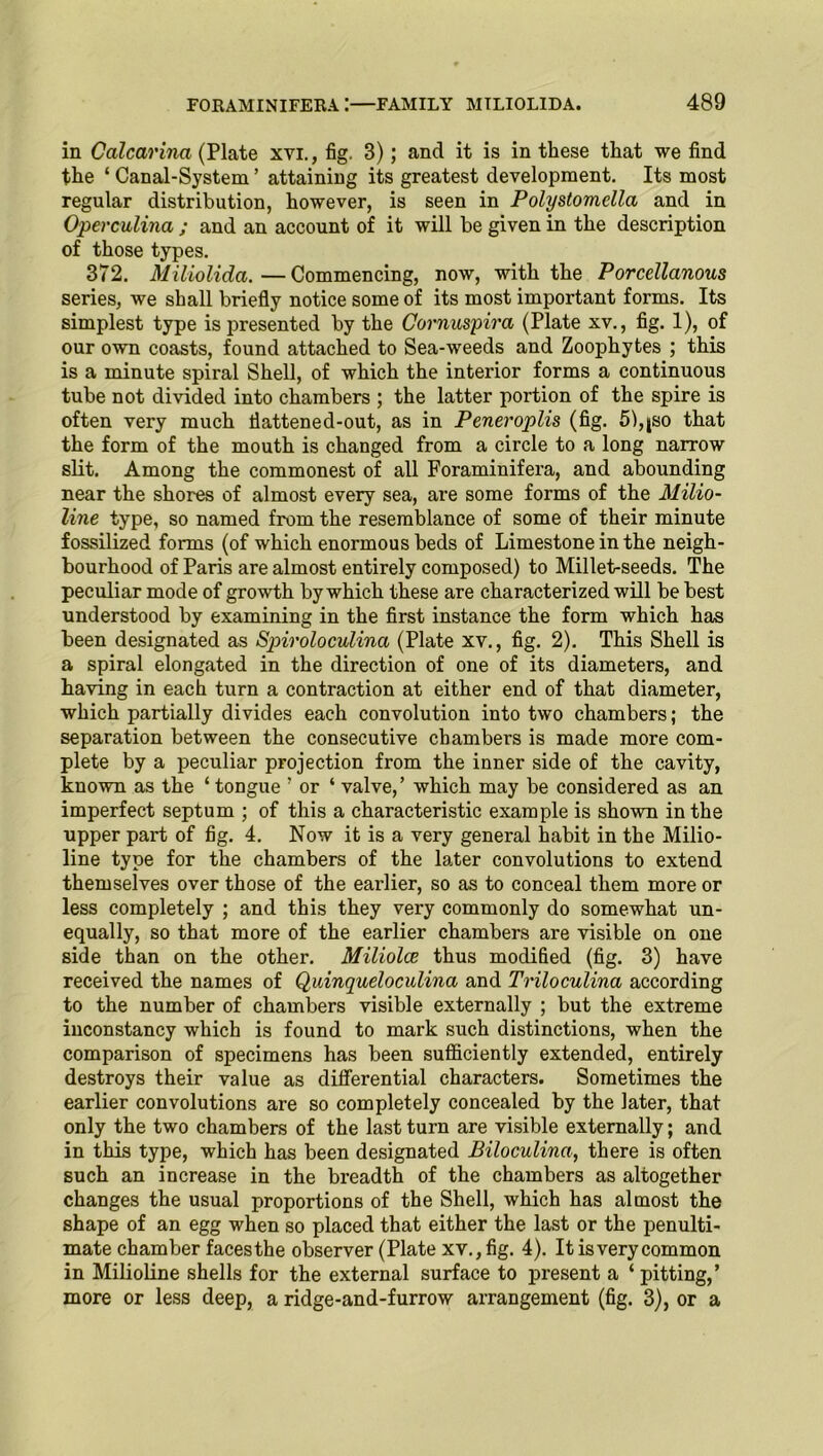 in Calcarina (Plate xvi., fig. 3); and it is in these that we find the ‘ Canal-System ’ attaining its greatest development. Its most regular distribution, however, is seen in Polystomella and in Operculina ; and an account of it will be given in the description of those types. 372. Miliolida.—Commencing, now, with the Porcellanous series, we shall briefly notice some of its most important forms. Its simplest type is presented by the Cornuspira (Plate xv., fig. 1), of our own coasts, found attached to Sea-weeds and Zoophytes ; this is a minute spiral Shell, of which the interior forms a continuous tube not divided into chambers ; the latter portion of the spire is often very much flattened-out, as in Peneroplis (fig. 51,jso that the form of the mouth is changed from a circle to a long narrow slit. Among the commonest of all Foraminifera, and abounding near the shores of almost every sea, are some forms of the Milio- line type, so named from the resemblance of some of their minute fossilized forms (of which enormous beds of Limestone in the neigh- bourhood of Paris are almost entirely composed) to Millet-seeds. The peculiar mode of growth by which these are characterized will be best understood by examining in the first instance the form which has been designated as Spiroloculina (Plate xv., fig. 2). This Shell is a spiral elongated in the direction of one of its diameters, and having in each turn a contraction at either end of that diameter, which partially divides each convolution into two chambers; the separation between the consecutive chambers is made more com- plete by a peculiar projection from the inner side of the cavity, known as the ‘ tongue ’ or ‘ valve,’ which may be considered as an imperfect septum ; of this a characteristic example is shown in the upper part of fig. 4. Now it is a very general habit in the Milio- line type for the chambers of the later convolutions to extend themselves over those of the earlier, so as to conceal them more or less completely ; and this they very commonly do somewhat un- equally, so that more of the earlier chambers are visible on one side than on the other. Miliolce thus modified (fig. 3) have received the names of Quinqueloculina and Triloculina according to the number of chambers visible externally ; but the extreme inconstancy which is found to mark such distinctions, when the comparison of specimens has been sufficiently extended, entirely destroys their value as differential characters. Sometimes the earlier convolutions are so completely concealed by the later, that only the two chambers of the last turn are visible externally; and in this type, which has been designated Biloculina, there is often such an increase in the breadth of the chambers as altogether changes the usual proportions of the Shell, which has almost the shape of an egg when so placed that either the last or the penulti- mate chamber faces the observer (Plate xv., fig. 4). It is very common in Milioline shells for the external surface to present a ‘ pitting,’ more or less deep, a ridge-and-furrow arrangement (fig. 3), or a