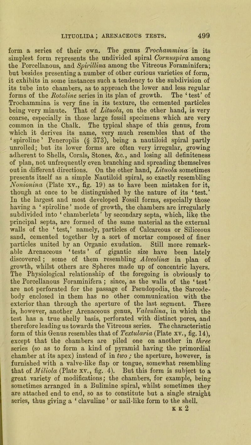 form a series of their own. The genus Trochammina in its simplest form represents the undivided spiral Cornuspira among the Porcellanous, and Spirillina among the Vitreous Foraminifera; but besides presenting a number of other curious varieties of form, it exhibits in some instances such a tendency to the subdivision of its tube into chambers, as to approach the lower and less regular forms of the Rotaline series in its plan of growth. The ‘test’ of Trochammina is very fine in its texture, the cemented particles being very minute. That of Lituola, on the other hand, is very coarse, especially in those large fossil specimens which are very common in the Chalk. The typical shape of this genus, from which it derives its name, very much resembles that of the ‘spiroline’ Peneroplis (§ 373), being a nautiloid spiral partly unrolled; but its lower forms are often very irregular, growing adherent to Shells, Corals, Stones, &c., and losing all definiteness of plan, not unfrequently even branching and spreading themselves out in different directions. On the other hand, Lituola sometimes presents itself as a simple Nautiloid spiral, so exactly resembling Nonionina (Plate xv., fig. 19) as to have been mistaken for it, though at once to be distinguished by the nature of its ‘test.’ In the largest and most developed Fossil forms, especially those having a ‘ spiroline ’ mode of growth, the chambers are irregularly subdivided into * chamberlets ’ by secondary septa, which, like the principal septa, are formed of the same material as the external walls of the ‘test,’ namely, particles of Calcareous or Siliceous sand, cemented together by a sort of mortar composed of finer particles united by an Organic exudation. Still more remark- able Arenaceous ‘ tests ’ of gigantic size have been lately discovered; some of them resembling Alveolince in plan of growth, whilst others are Spheres made up of concentric layers. The Physiological relationship of the foregoing is obviously to the Porcellanous Foraminifera ; since, as the walls of the ‘ test ’ are not perforated for the passage of Pseudopodia, the Sarcode- body enclosed in them has no other communication with the exterior than through the aperture of the last segment. There is, however, another Arenaceous genus, Valvulina, in which the test has a true shelly basis, perforated with distinct pores, and therefore leading us towards the Vitreous series. The characteristic form of this Genus resembles that of Textularia (Plate xv., fig. 14), except that the chambers are piled one on another in three series (so as to form a kind of pyramid having the primordial chamber at its apex) instead of in two ; the aperture, however, is furnished with a valve-like flap or tongue, somewhat resembling that of Miliola (Plate xv., fig. 4). But this form is subject to a great variety of modifications; the chambers, for example, being sometimes arranged in a Bulimine spiral, whilst sometimes they are attached end to end, so as to constitute but a single straight series, thus giving a ‘ clavuline ’ or nail-like form to the shell. k k 2