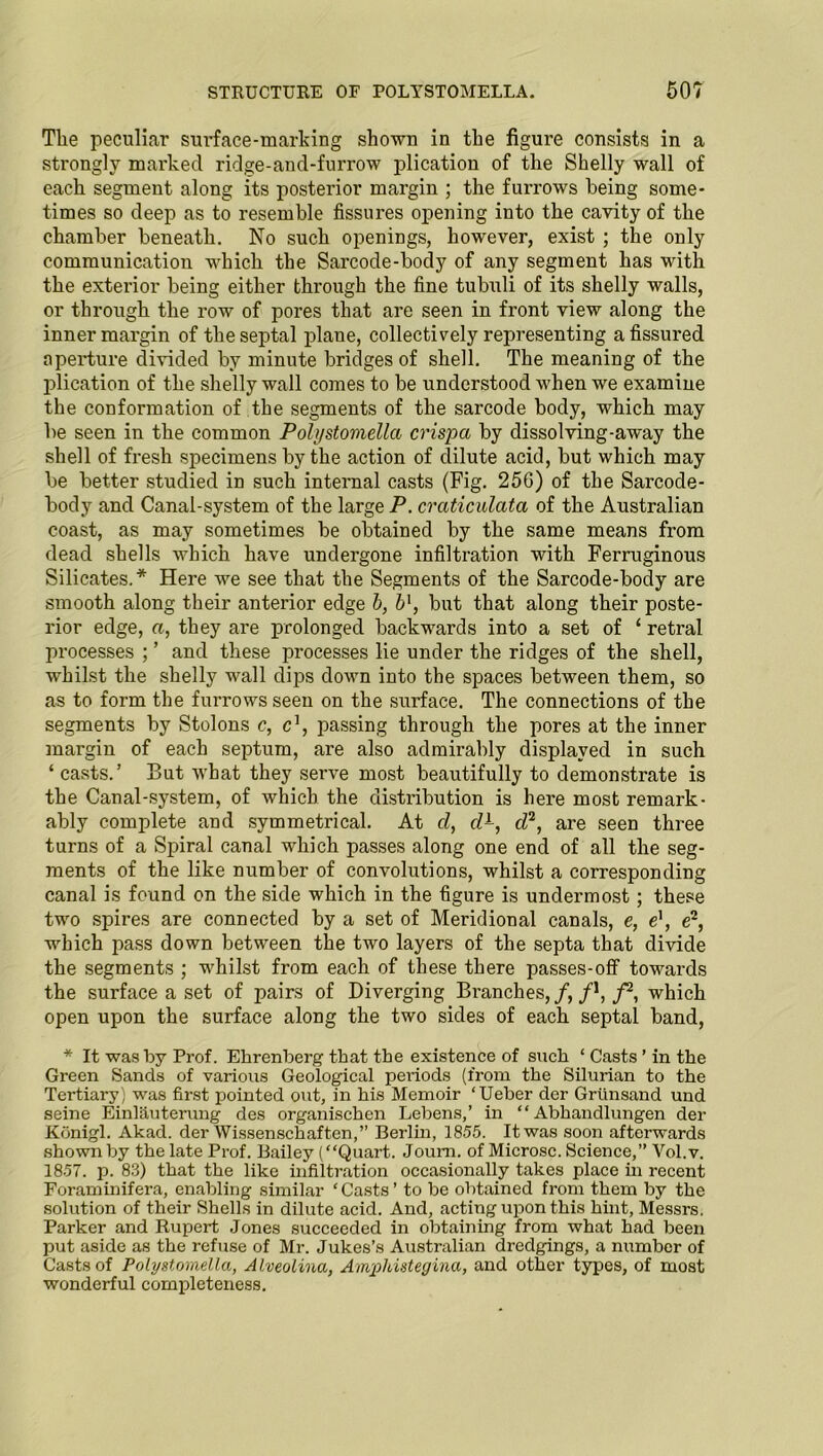 STRUCTURE OF POLYSTOMELLA. 50? The peculiar surface-marking shown in the figure consists in a strongly marked ridge-and-furrow plication of the Shelly wall of each segment along its posterior margin ; the furrows being some- times so deep as to resemble fissures opening into the cavity of the chamber beneath. No such openings, however, exist ; the only communication which the Sarcode-body of any segment has with the exterior being either through the fine tubuli of its shelly walls, or through the row of pores that are seen in front view along the inner margin of the septal plane, collectively representing a fissured aperture divided by minute bridges of shell. The meaning of the plication of the shelly wall comes to be understood when we examine the conformation of the segments of the sarcode body, which may be seen in the common Polystomella crispa by dissolving-away the shell of fresh specimens by the action of dilute acid, but which may be better studied in such internal casts (Fig. 25G) of the Sarcode- body and Canal-system of the large P. craticulata of the Australian coast, as may sometimes be obtained by the same means from dead shells which have undergone infiltration with Ferruginous Silicates.* Here we see that the Segments of the Sarcode-body are smooth along their anterior edge b, bl, but that along their poste- rior edge, a, they are prolonged backwards into a set of ‘ retral processes ; ’ and these processes lie under the ridges of the shell, whilst the shelly wall dips down into the spaces between them, so as to form the furrows seen on the surface. The connections of the segments by Stolons c, c1, passing through the pores at the inner margin of each septum, are also admirably displayed in such ‘ casts.’ But what they serve most beautifully to demonstrate is the Canal-system, of which the distribution is here most remark- ably complete and symmetrical. At d, dL, d2, are seen three turns of a Spiral canal which passes along one end of all the seg- ments of the like number of convolutions, whilst a corresponding canal is found on the side which in the figure is undermost; these two spires are connected by a set of Meridional canals, e, e], e2, which pass down between the two layers of the septa that divide the segments ; whilst from each of these there passes-off towards the surface a set of pairs of Diverging Branches,/,/1,/2, which open upon the surface along the two sides of each septal band, * It was by Prof. Ehrenberg that the existence of such ‘ Casts ’ in the Green Sands of various Geological periods (from the Silurian to the Tertiary) was first pointed out, in his Memoir ‘Ueber der Griinsand und seine Einlauterung des organisehen Lebens,’ in “ Abhandlungen der Kdnigl. Akad. der Wissenschaften,” Berlin, 1855. It was soon afterwards shown by the late Prof. Bailey (“Quart. Joum. of Microsc. Science,” Vol.v. 1857. p. 83) that the like infiltration occasionally takes place in recent Foraminifera, enabling similar ‘Casts’ to be obtained from them by the solution of their Shells in dilute acid. And, acting upon this hint, Messrs. Parker and Rupert Jones succeeded in obtaining from what had been put aside as the refuse of Mr. Jukes’s Australian dredgings, a number of Casts of Polystomella, Alveolina, Ampldstegina, and other types, of most wonderful completeness.