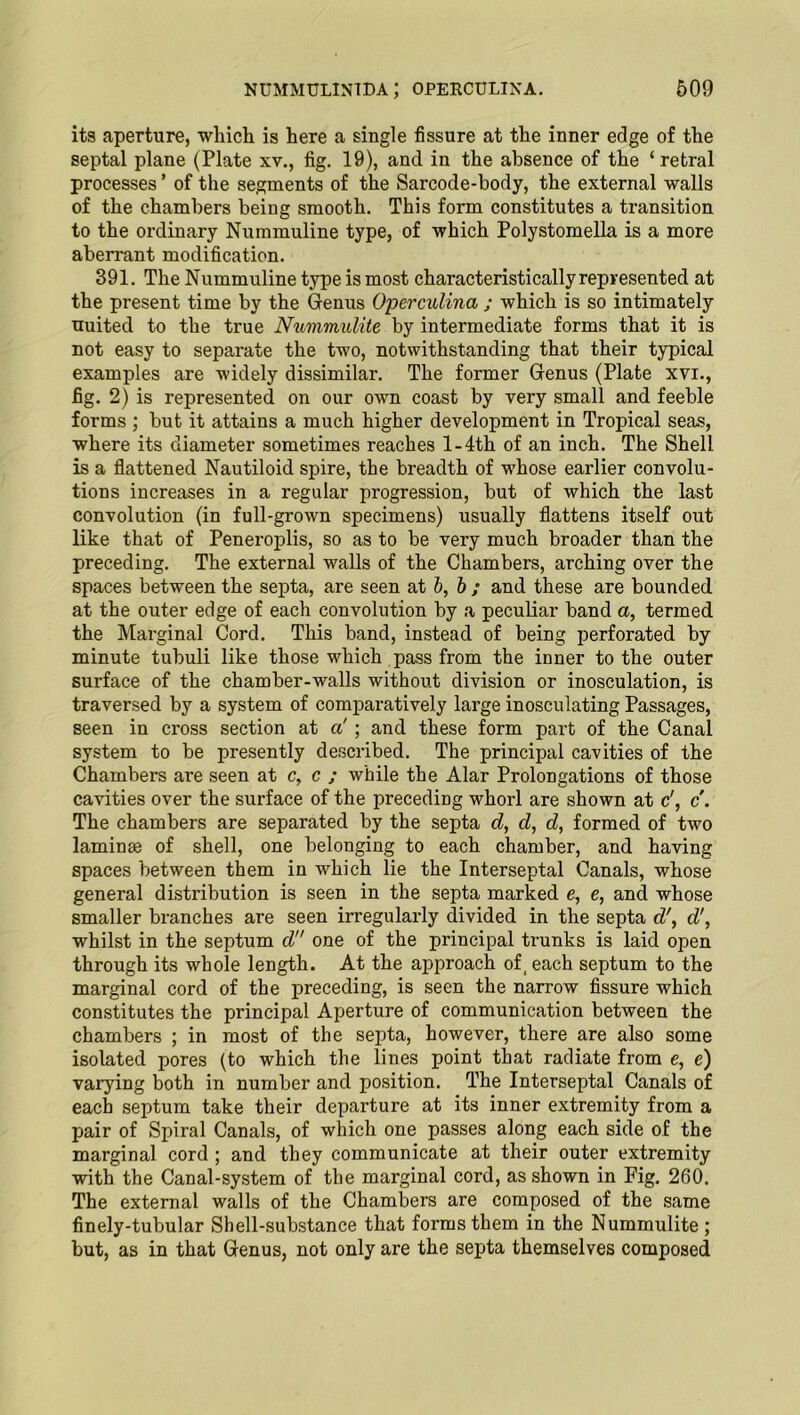 its aperture, which is here a single fissure at the inner edge of the septal plane (Plate xv., fig. 19), and in the absence of the ‘ retral processes ’ of the segments of the Sarcode-body, the external walls of the chambers being smooth. This form constitutes a transition to the ordinary Nummuline type, of which Polystomella is a more aberrant modification. 391. The Nummuline type is most characteristically represented at the present time by the Genus Operculina ; which is so intimately uuited to the true Nummulite by intermediate forms that it is not easy to separate the two, notwithstanding that their typical examples are widely dissimilar. The former Genus (Plate xvi., fig. 2) is represented on our own coast by very small and feeble forms ; but it attains a much higher development in Tropical seas, where its diameter sometimes reaches l-4th of an inch. The Shell is a flattened Nautiloid spire, the breadth of whose earlier convolu- tions increases in a regular progression, but of which the last convolution (in full-grown specimens) usually flattens itself out like that of Peneroplis, so as to be very much broader than the preceding. The external walls of the Chambers, arching over the spaces between the septa, are seen at b, b ; and these are bounded at the outer edge of each convolution by a peculiar band a, termed the Marginal Cord. This band, instead of being perforated by minute tubuli like those which pass from the inner to the outer surface of the chamber-walls without division or inosculation, is traversed by a system of comparatively large inosculating Passages, seen in cross section at a'; and these form part of the Canal system to be presently described. The principal cavities of the Chambers are seen at c, c ; while the Alar Prolongations of those cavities over the surface of the preceding whorl are shown at c', c. The chambers are separated by the septa d, d, d, formed of two laminae of shell, one belonging to each chamber, and having spaces between them in which lie the Interseptal Canals, whose general distribution is seen in the septa marked e, e, and whose smaller branches are seen irregularly divided in the septa d', d’, whilst in the septum d one of the principal trunks is laid open through its whole length. At the approach of, each septum to the marginal cord of the preceding, is seen the narrow fissure which constitutes the principal Aperture of communication between the chambers ; in most of the septa, however, there are also some isolated pores (to which the lines point that radiate from e, e) varying both in number and position. The Interseptal Canals of each septum take their departure at its inner extremity from a pair of Spiral Canals, of which one passes along each side of the marginal cord ; and they communicate at their outer extremity with the Canal-system of the marginal cord, as shown in Fig. 260. The external walls of the Chambers are composed of the same finely-tubular Shell-substance that forms them in the Nummulite ; but, as in that Genus, not only are the septa themselves composed