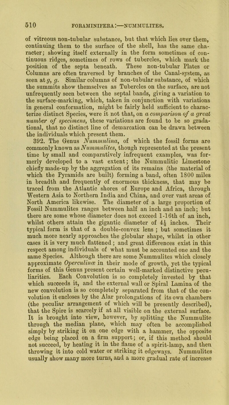 of vitreous non-tubular substance, but that which lies over them, continuing them to the surface of the shell, has the same cha- racter; showing itself externally in the form sometimes of con- tinuous ridges, sometimes of rows of tubercles, which mark the position of the septa beneath. These non-tubular Plates or Columns are often traversed by branches of the Canal-system, as seen at g, g. Similar columns of non-tubular substance, of which the summits show themselves as Tubercles on the surface, are not unfrequently seen between the septal bands, giving a variation to the surface-marking, which, taken in conjunction with variations in general conformation, might be fairly held sufficient to charac- terize distinct Species, were it not that, on a comparison of a great number of specimens, these variations are found to be so grada- tional, that no distinct line of demarcation can be drawn between the individuals which present them. 392. The Grenus Nummulina, of which the fossil forms are commonly known as Nummulites, though represented at the present time by small and comparatively infrequent examples, was for- merly developed to a vast extent; the Nummulitic Limestone chiefly made-up by the aggregation of its remains (the material of which the Pyramids are built) forming a band, often 1800 miles in breadth and frequently of enormous thickness, that may be traced from the Atlantic shores of Europe and Africa, through Western Asia to Northern India and China, and over vast areas of North America likewise. The diameter of a large proportion of Fossil Nummulites ranges between half an inch and an inch; but there are some whose diameter does not exceed 1-16th of an inch, whilst others attain the gigantic diameter of 4£ inches. Their typical form is that of a double-convex lens ; but sometimes it much more nearly approaches the globular shape, whilst in other cases it is very much flattened ; and great diflferences exist in this respect among individuals of what must be accounted one and the same Species. Although there are some Nummulites which closely approximate Operculince in their mode of growth, yet the typical forms of this Genus present certain well-marked distinctive pecu- liarities. Each Convolution is so completely invested by that which succeeds it, and the external wall or Spiral Lamina of the new convolution is so completely sepai'ated from that of the con- volution it encloses by the Alar prolongations of its own chambers (the peculiar arrangement of which will be presently described), that the Spire is scarcely if at all visible on the external surface. It is brought into view, however, by splitting the Nummulite through the median plane, which may often be accomplished simply by striking it on one edge with a hammer, the opposite edge being placed on a firm support; or, if this method should not succeed, by heating it in the flame of a spirit-lamp, and then throwing it into cold water or striking it edgeways. Nummulites usually show many more turns, and a more gradual rate of increase