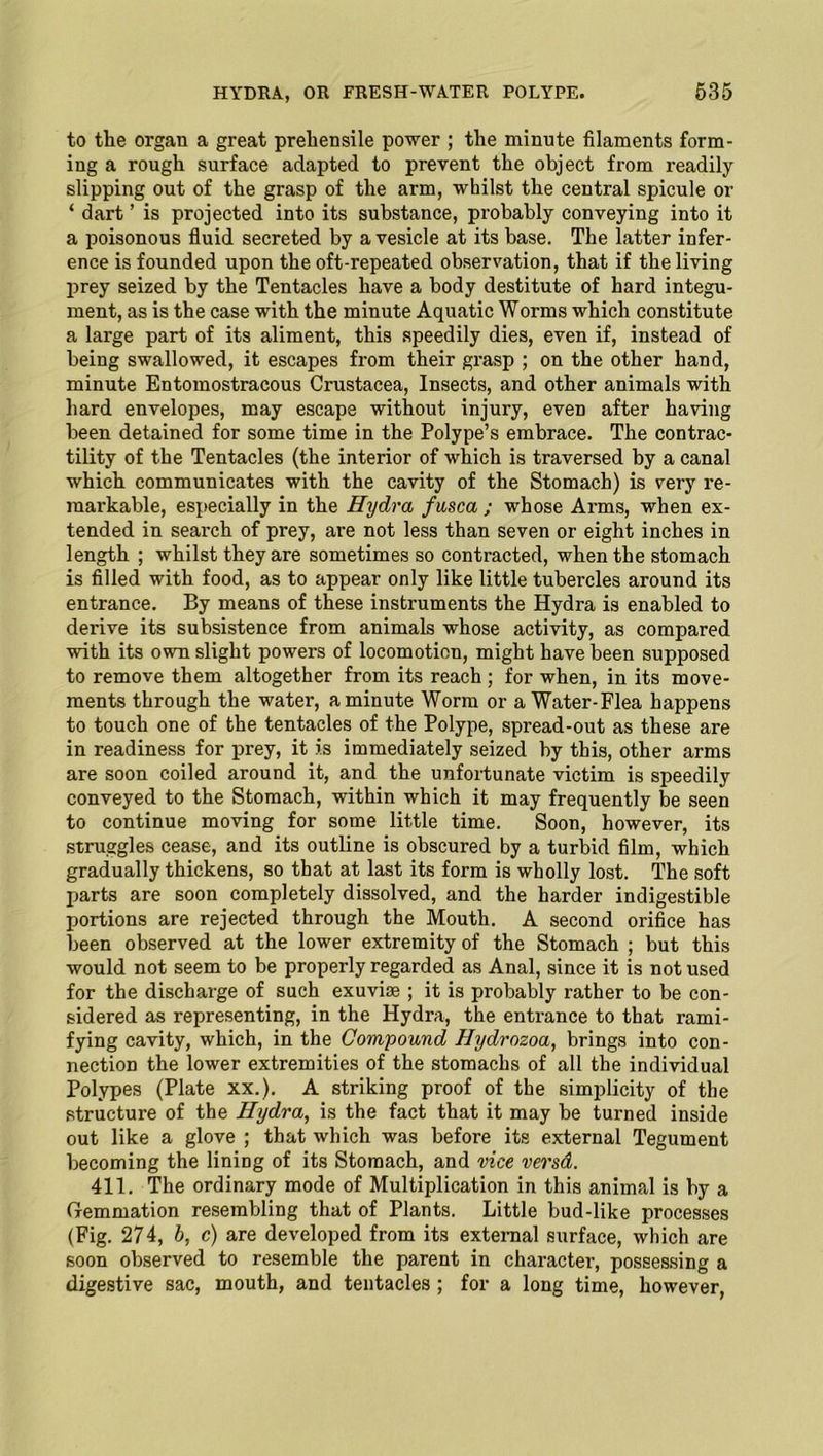 to the organ a great prehensile power ; the minute filaments form- ing a rough surface adapted to prevent the object from readily slipping out of the grasp of the arm, whilst the central spicule or ‘ dart ’ is projected into its substance, probably conveying into it a poisonous fluid secreted by a vesicle at its base. The latter infer- ence is founded upon the oft-repeated observation, that if the living prey seized by the Tentacles have a body destitute of hard integu- ment, as is the case with the minute Aquatic Worms which constitute a large part of its aliment, this speedily dies, even if, instead of being swallowed, it escapes from their grasp ; on the other hand, minute Entomostracous Crustacea, Insects, and other animals with hard envelopes, may escape without injury, even after having been detained for some time in the Polype’s embrace. The contrac- tility of the Tentacles (the interior of which is traversed by a canal which communicates with the cavity of the Stomach) is very re- markable, especially in the Hydra fusca ; whose Arms, when ex- tended in search of prey, are not less than seven or eight inches in length ; whilst they are sometimes so contracted, when the stomach is filled with food, as to appear only like little tubercles around its entrance. By means of these instruments the Hydra is enabled to derive its subsistence from animals whose activity, as compared with its own slight powers of locomotion, might have been supposed to remove them altogether from its reach ; for when, in its move- ments through the water, a minute Worm or a Water-Flea happens to touch one of the tentacles of the Polype, spread-out as these are in readiness for prey, it is immediately seized by this, other arms are soon coiled around it, and the unfortunate victim is speedily conveyed to the Stomach, within which it may frequently be seen to continue moving for some little time. Soon, however, its struggles cease, and its outline is obscured by a turbid film, which gradually thickens, so that at last its form is wholly lost. The soft parts are soon completely dissolved, and the harder indigestible portions are rejected through the Mouth. A second orifice has been observed at the lower extremity of the Stomach ; but this would not seem to be properly regarded as Anal, since it is not used for the discharge of such exuviae ; it is probably rather to be con- sidered as representing, in the Hydra, the entrance to that rami- fying cavity, which, in the Compound Hydrozoa, brings into con- nection the lower extremities of the stomachs of all the individual Polypes (Plate xx.). A striking proof of the simplicity of the structure of the Hydra, is the fact that it may be turned inside out like a glove ; that which was before its external Tegument becoming the lining of its Stomach, and vice versd. 411. The ordinary mode of Multiplication in this animal is by a Gemmation resembling that of Plants. Little bud-like processes (Fig. 274, b, c) are developed from its external surface, which are soon observed to resemble the parent in charactei’, possessing a digestive sac, mouth, and tentacles ; for a long time, however,