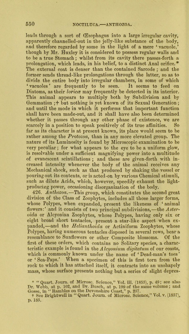 leads through a sort of (Esophagus into a large irregular cavity, apparently channelled-out in the jelly-like substance of the body, and therefore regarded by some in the light of a mere ‘vacuole,’ though by Mr. Huxley it is considered to possess regular walls and to be a true Stomach; whilst from its cavity there passes-forth a prolongation, which leads, in his belief, to a distinct Anal orifice.* The external coat is denser than the contained Sarcode ; and the former sends thread-like prolongations through the latter, so as to divide the entire body into irregular chambers, in some of which ‘ vacuoles ’ are frequently to be seen. It seems to feed on Diatoms, as their loric& may frequently be detected in its interior. This animal appears to multiply both by Subdivision and by Gemmation ;+ but nothing is yet known of its Sexual Generation; and until the mode in which it performs that important function shall have been made-out, and it shall have also been determined whether it passes through any other phase of existence, we are scarcely in a position to speak positively of its true affinities. So far as its character is at present known, its place would seem to be rather among the Protozoa, than in any more elevated group. The nature of its Luminosity is found by Microscopic examination to be very peculiar; for what appears to the eye to be a uniform glow, is resolvable under a sufficient magnifying power into a multitude of evanescent scintillations ; and these are given-forth with in- creased intensity whenever the body of the animal receives any Mechanical shock, such as that produced by shaking the vessel or pouring out its contents, oris acted-on by various Chemical stimuli, such as dilute Acids, which, however, speedily exhaust the light- producing power, occasioning disorganization of the body. 426. Anthozoa.—This group, which constitutes the second great division of the Class of Zoophytes, includes all those larger forms, whose Polypes, when expanded, present the likeness of ‘ animal flowers:’ and it consists of two principal subdivisions,—the Aster- oida or Alcyonian Zoophytes, whose Polypes, having only six or eight broad short tentacles, present a star-like aspect when ex- panded,—and the Uelianlhoida or Actiniform Zoophytes, whose Polypes, having numerous tentacles disposed in several rows, bear a resemblance to Sunflowers or other Composite blossoms. Of the first of these orders, which contains no Solitary species, a charac- teristic example is found in the A Icyonium digitatum of our coasts, which is commonly known under the name of ‘Dead-man’s toes’ or ‘ Sea-Paps.’ When a specimen of this is first torn from the rock to which it has attached itself, it contracts into an unshapely mass, whose surface presents nothing but a series of slight depres- * “Quart. Journ. of Microse. Science,” Vol. iii. (1855), p. 49; see also Dr. Webb, at p. 102, and Dr. Buscb, at p. 199 of the same volume ; and Gosse, in “ Rambles on the Devonshire Coast,” p. 257. t See Brightwell in “ Quart. Joum. of Microsc. Science,” Vol. v. (1857), p. 185.