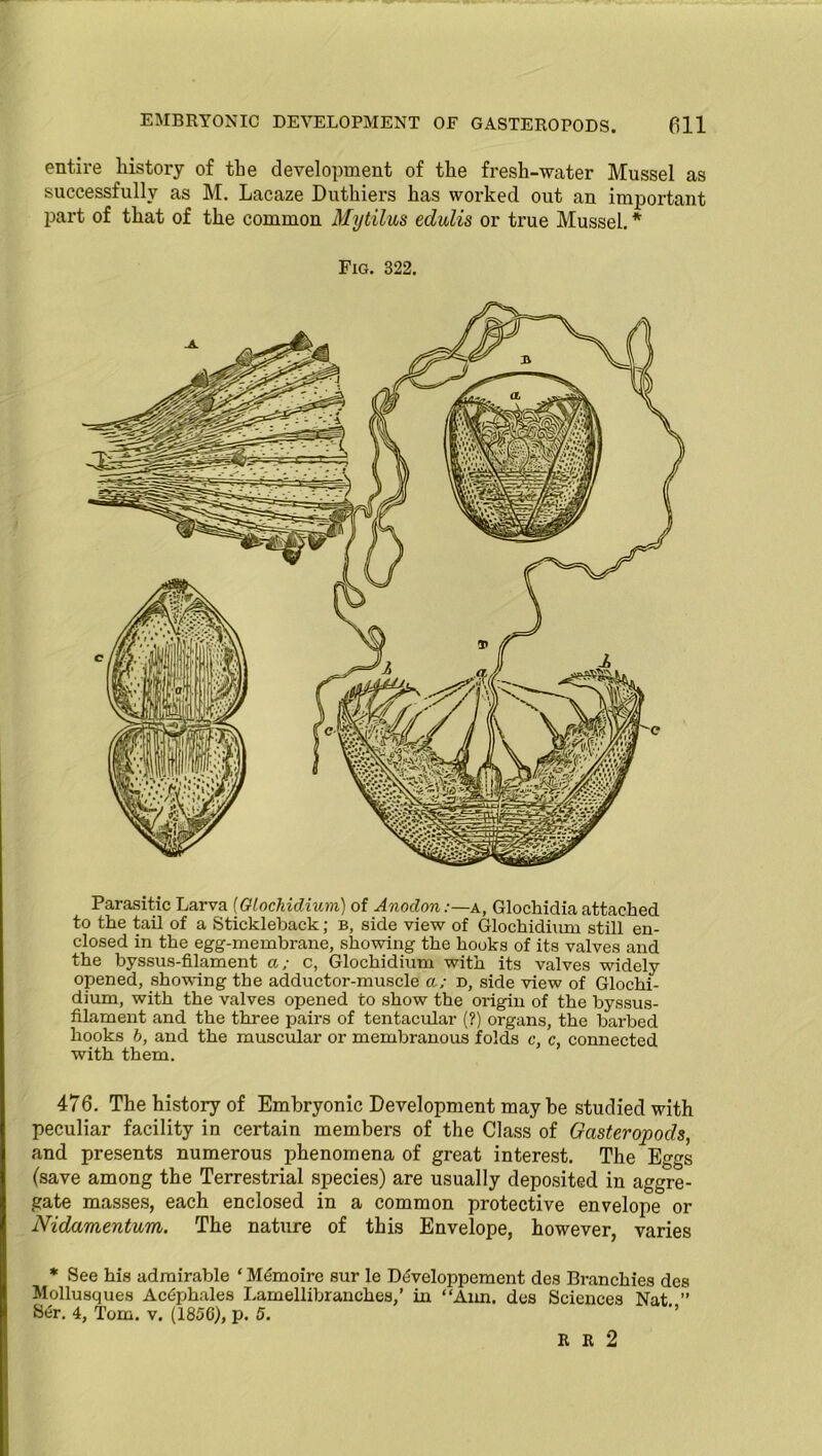 entire history of the development of the fresh-water Mussel as successfully as M. Lacaze Duthiers has worked out an important part of that of the common Mytilus edulis or true Mussel. * Fig. 322. Parasitic Larva (GLochidium) of Anodon:—a, Glochidia attached to the tail of a Stickleback; b, side view of Glochidium still en- closed in the egg-membrane, showing the hooks of its valves and the byssus-filament a; c, Glochidium with its valves widely opened, shoving the adductor-muscle a; d, side view of Glochi- dium, with the valves opened to show the origin of the byssus- filament and the three pairs of tentacular (?) organs, the barbed hooks b, and the muscular or membranous folds c, c, connected with them. 476. The history of Embryonic Development maybe studied with peculiar facility in certain members of the Class of Gasteropods, and presents numerous phenomena of great interest. The Eggs (save among the Terrestrial species) are usually deposited in aggre- gate masses, each enclosed in a common protective envelope or Nidamentum. The nature of this Envelope, however, varies * See his admirable ‘ Mdmoire sur le Developpement des Branchies des Mollusques Ac^phales Lamellibranches,’ in “Aim. des Sciences Nat ” Ser. 4, Tom. v. (1850), p. 5. R It 2