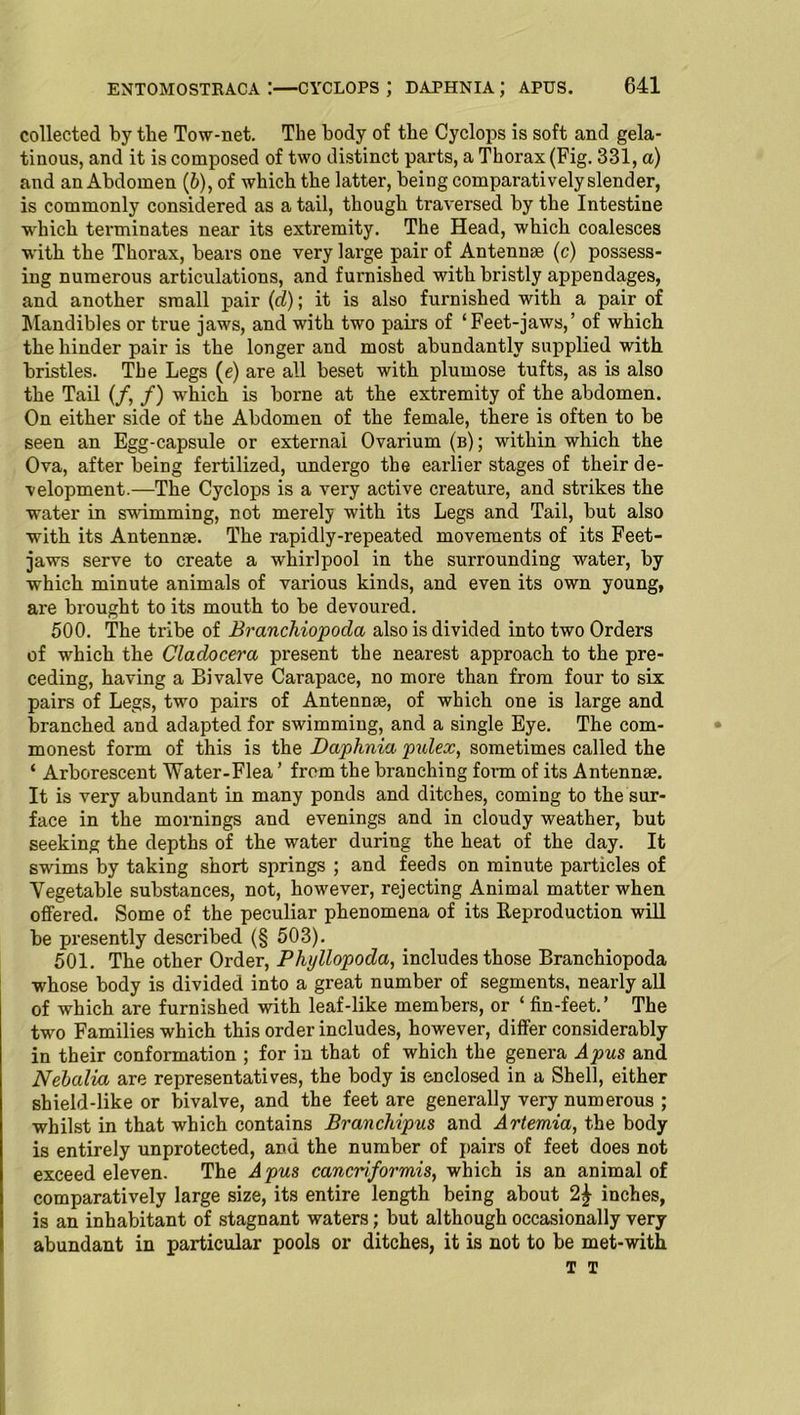 collected by the Tow-net. The body of the Cyclops is soft and gela- tinous, and it is composed of two distinct parts, a Thorax (Fig. 331, a) and an Abdomen (6), of which the latter, being comparatively slender, is commonly considered as a tail, though traversed by the Intestine which terminates near its extremity. The Head, which coalesces with the Thorax, bears one very large pair of Antennae (c) possess- ing numerous articulations, and furnished with bristly appendages, and another small pair (d); it is also furnished with a pair of Mandibles or true jaws, and with two pairs of ‘Feet-jaws,’ of which the hinder pair is the longer and most abundantly supplied with bristles. The Legs (e) are all beset with plumose tufts, as is also the Tail (/, /) which is borne at the extremity of the abdomen. On either side of the Abdomen of the female, there is often to be seen an Egg-capsule or external Ovarium (b); within which the Ova, after being fertilized, undergo the earlier stages of their de- velopment.—The Cyclops is a very active creature, and strikes the water in swimming, not merely with its Legs and Tail, but also with its Antennae. The rapidly-repeated movements of its Feet- jaws serve to create a whirlpool in the surrounding water, by which minute animals of various kinds, and even its own young, are brought to its mouth to be devoured. 500. The tribe of Branchiopoda also is divided into two Orders of which the Cladocera present the nearest approach to the pre- ceding, having a Bivalve Carapace, no more than from four to six pairs of Legs, two pairs of Antennae, of which one is large and branched and adapted for swimming, and a single Eye. The com- monest form of this is the Daphnia pulex, sometimes called the ‘ Arborescent Water-Flea ’ from the branching form of its Antennae. It is very abundant in many ponds and ditches, coming to the sur- face in the mornings and evenings and in cloudy weather, but seeking the depths of the water during the heat of the day. It swims by taking short springs ; and feeds on minute particles of Vegetable substances, not, however, rejecting Animal matter when offered. Some of the peculiar phenomena of its Reproduction will be presently described (§ 503). 501. The other Order, Phyllopodci, includes those Branchiopoda whose body is divided into a great number of segments, nearly all of which are furnished with leaf-like members, or ‘ fin-feet.’ The two Families which this order includes, however, differ considerably in their conformation ; for in that of which the genera Apus and Nebalia are representatives, the body is enclosed in a Shell, either shield-like or bivalve, and the feet are generally very numerous ; whilst in that which contains Branchipus and Artemia, the body is entirely unprotected, and the number of pairs of feet does not exceed eleven. The A pus cancriformis, which is an animal of comparatively large size, its entire length being about 2j inches, is an inhabitant of stagnant waters; but although occasionally very abundant in particular pools or ditches, it is not to be met-with
