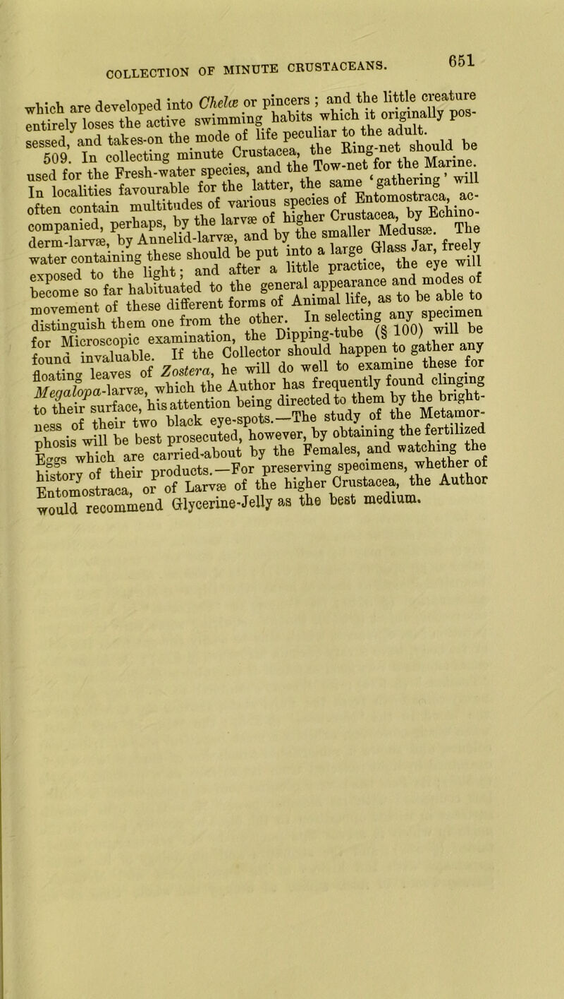 COLLECTION OF MINUTE CRUSTACEANS. used for tbe Fresh-water species, and the Tow-net for the toe In localities favourable for the latter, the gathenng wdl often contain by the s7 auer Modus,. Jhe IxtoLr^he8^ “tfle practice, the eye will become so far habftuated to the general appearance and modes o for Microscopic examination, the Dipping-tube (b ^ ) found invaluable. If the Collector should happen to gather any found ^vaiuan hp will do wen to examine these for Menalopa-Urvx, which the Author has frequently found clinging *° *“? the Metair- ^tTosis will be best prosecuted, however, by obtaining the ferfohzed tZ which are caJried-about by the Females, and etching the hfstorv of their products.—For preserving specimens, whether of Entomostraca, or of Larvae of the higher Crustacea, the Author would recommend Glycerine-Jelly as the best medium.