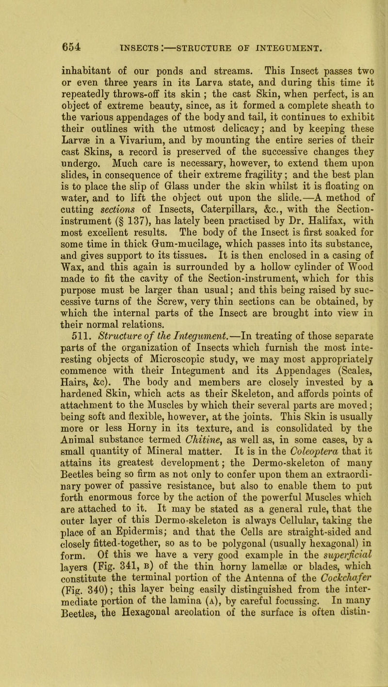 inhabitant of our ponds and streams. This Insect passes two or even three years in its Larva state, and during this time it repeatedly throws-off its skin ; the cast Skin, when perfect, is an object of extreme beauty, since, as it formed a complete sheath to the various appendages of the body and tail, it continues to exhibit their outlines with the utmost delicacy; and by keeping these Larvae in a Vivarium, and by mounting the entire series of their cast Skins, a record is preserved of the successive changes they undergo. Much care is necessary, however, to extend them upon slides, in consequence of their extreme fragility; and the best plan is to place the slip of Glass under the skin whilst it is floating on water, and to lift the object out upon the slide.—A method of cutting sections of Insects, Caterpillars, &c., with the Section- instrument (§ 137), has lately been practised by Dr. Halifax, with most excellent results. The body of the Insect is first soaked for some time in thick Gum-mucilage, which passes into its substance, and gives support to its tissues. It is then enclosed in a casing of Wax, and this again is surrounded by a hollow cylinder of Wood made to fit the cavity of the Section-instrument, which for this purpose must be larger than usual; and this being raised by suc- cessive turns of the Screw, very thin sections can be obtained, by which the internal parts of the Insect are brought into view in their normal relations. 511. Structure of the Integument.—In treating of those separate parts of the organization of Insects which furnish the most inte- resting objects of Microscopic study, we may most appropriately commence with their Integument and its Appendages (Scales, Hairs, &c). The body and members are closely invested by a hardened Skin, which acts as their Skeleton, and affords points of attachment to the Muscles by which their several parts are moved; being soft and flexible, however, at the joints. This Skin is usually more or less Horny in its texture, and is consolidated by the Animal substance termed Chitine, as well as, in some cases, by a small quantity of Mineral matter. It is in the Coleoptera that it attains its greatest development; the Dermo-skeleton of many Beetles being so firm as not only to confer upon them an extraordi- nary power of passive resistance, but also to enable them to put forth enormous force by the action of the powerful Muscles which are attached to it. It may be stated as a general rule, that the outer layer of this Dermo-skeleton is always Cellular, taking the place of an Epidermis; and that the Cells are straight-sided and closely fitted-together, so as to be polygonal (usually hexagonal) in form. Of this we have a very good example in the superficial layers (Fig. 341, b) of the thin horny lamellae or blades, which constitute the terminal portion of the Antenna of the Cockchafer (Fig. 340); this layer being easily distinguished from the inter- mediate portion of the lamina (a), by careful focussing. In many Beetles, the Hexagonal areolation of the surface is often distin-