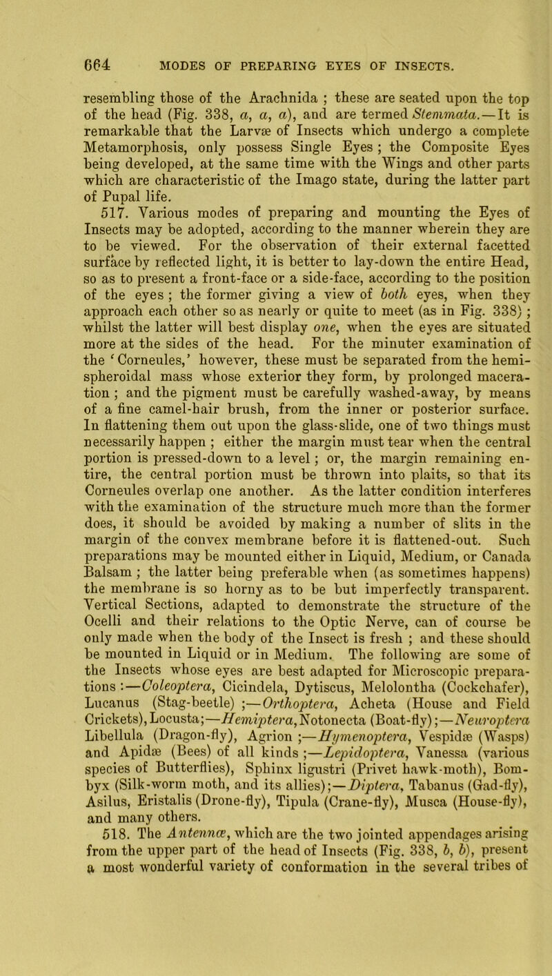 resembling those of the Arachnida ; these are seated upon the top of the head (Fig. 338, a, a, a), and are termed Stemmata. — It is remarkable that the Larvae of Insects which undergo a complete Metamorphosis, only possess Single Eyes; the Composite Eyes being developed, at the same time with the Wings and other parts which are characteristic of the Imago state, during the latter part of Pupal life. 517. Various modes of preparing and mounting the Eyes of Insects may be adopted, according to the manner wherein they are to be viewed. For the observation of their external facetted surface by reflected light, it is better to lay-down the entire Head, so as to present a front-face or a side-face, according to the position of the eyes ; the former giving a view of both eyes, when they approach each other so as nearly or quite to meet (as in Fig. 338); whilst the latter will best display one, when the eyes are situated more at the sides of the head. For the minuter examination of the ‘Corneules,’ however, these must be separated from the herni- spheroidal mass whose exterior they form, by prolonged macera- tion ; and the pigment must be carefully washed-away, by means of a fine camel-hair brush, from the inner or posterior surface. In flattening them out upon the glass-slide, one of two things must necessarily happen ; either the margin must tear when the central portion is pressed-down to a level; or, the margin remaining en- tire, the central portion must be thrown into plaits, so that its Corneules overlap one another. As the latter condition interferes with the examination of the structure much more than the former does, it should be avoided by making a number of slits in the margin of the convex membrane before it is flattened-out. Such preparations may be mounted either in Liquid, Medium, or Canada Balsam ; the latter being preferable when (as sometimes happens) the membrane is so horny as to be but imperfectly transparent. Vertical Sections, adapted to demonstrate the structure of the Ocelli and their relations to the Optic Nerve, can of course be only made when the body of the Insect is fresh ; and these should be mounted in Liquid or in Medium. The following are some of the Insects whose eyes are best adapted for Microscopic prepara- tions :—Coleoptera, Cicindela, Dytiscus, Melolontha (Cockchafer), Lucanus (Stag-beetle) ;—Orthoptera, Acheta (House and Field Crickets),Locusta;—ATm?j3iem,Notonecta (Boat-fly);—Neuroptera Libellula (Dragon-fly), Agrion ;—Hymenoptera, Vespidse (Wasps) and Apidaa (Bees) of all kinds ;—Lepidoptera, Vanessa (various species of Butterflies), Sphinx ligustri (Privet hawk-moth), Bom- byx (Silk-worm moth, and its allies);—Diptera, Tabanus (Gad-fly), Asilus, Eristalis (Drone-fly), Tipula (Crane-fly), Musca (House-fly), and many others. 518. The Antenna, which are the two jointed appendages arising from the upper part of the head of Insects (Fig. 338, b, b), present a most wonderful variety of conformation in the several tribes of