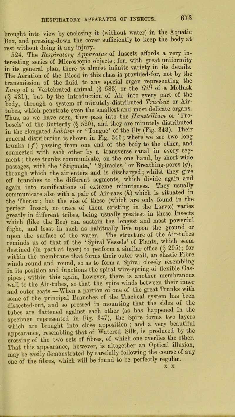 brought into view by enclosing it (without water) in the Aquatic Box, and pressing-down the cover sufficiently to keep the body at rest without doing it any injury. 524. The Respiratory Apparatus of Insects affords a very in- teresting series of Microscopic objects; for, with great uniformity in its general plan, there is almost infinite variety in its details. The Aeration of the Blood in this class is provided-for, not by the transmission of the fluid to any special organ representing the Lung of a Yertebrated animal (§ 583) or the Gill of a Mollusk (§ 481), but by the introduction of Air into every part of the body, through a system of minutely-distributed Trachece or Air- tubes, which penetrate even the smallest and most delicate organs. Thus, as we have seen, they pass into the Haustellium or Pro- boscis’ of the Butterfly (§ 520), and they are minutely distributed in the elongated Labium or ‘ Tongue’ of the Fly (Fig. 343). Their general distribution is shown in Fig. 346 ; where we see two long trunks (/) passing from one end of the body to the other, and connected with each other by a transverse canal in every seg- ment ; these trunks communicate, on the one hand, by short wide passages, with the ‘ Stigmata,’ ‘Spiracles,’ or Breathing-pores {g), through which the air enters and is discharged; whilst they give off branches to the different segments, which divide again and again into ramifications of extreme minuteness. They usually communicate also with a pair of Air-sacs (h) which is situated in the Thorax ; but the size of these (which are only found in the perfect Insect, no trace of them existing in the Larvae) varies greatly in different tribes, being usually greatest in those Insects which (like the Bee) can sustain the longest and most powerful flight, and least in such as habitually live upon the ground or upon the surface of the water. The structure of the Air-tubes reminds us of that of the ‘ Spiral Vessels’ of Plants, which seem destined (in part at least) to perform a similar office ($ 295); for within the membrane that forms their outer wall, an elastic Fibre winds round and round, so as to form a Spiral closely resembling in its position and functions the spiral wire-spring of flexible Gras- pipes ; within this again, however, there is another membranous wall to the Air-tubes, so that the spire winds between their inner and outer coats.—When a portion of one of the great Tiunks with some of the principal Branches of the Tracheal system has been dissected-out, and so pressed in mounting that the sides of the tubes are flattened against each other (as has happened in the specimen represented in Fig. 347), the Spire forms two layers which are brought into close apposition ; and a very beautiful appearance, resembling that of Watered Silk, is produced by the crossing of the two sets of fibres, of which one oveilies the other. That this appearance, however, is altogether an Optical illusion, may be easily demonstrated by carefully following the course of any one of the fibres, which will be found to be perfectly regular. x x