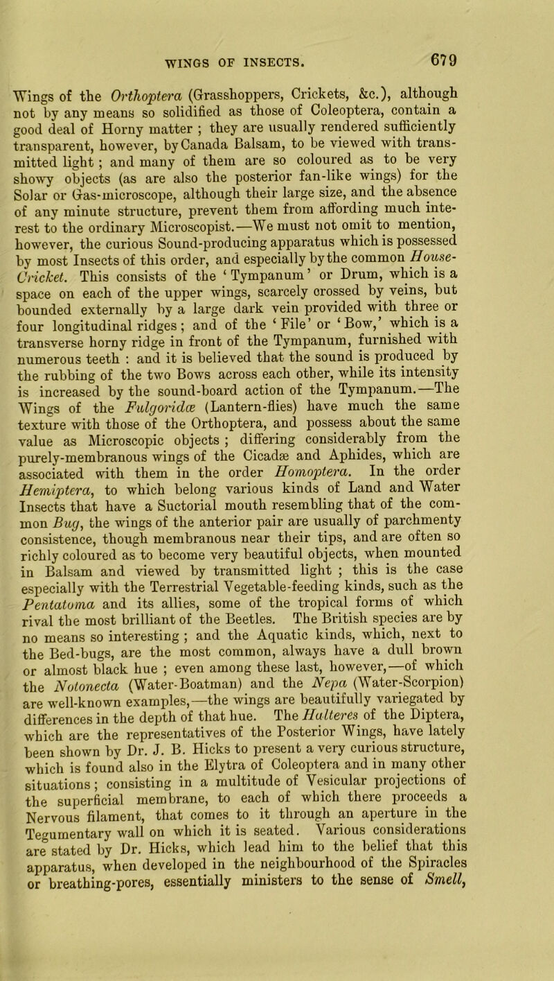 Wings of the Orthoptera (Grasshoppers, Crickets, &c.), although not by any means so solidified as those of Coleoptera, contain a good deal of Horny matter ; they are usually rendered sufficiently transparent, however, by Canada Balsam, to be viewed with trans- mitted light; and many of them are so coloured as to be very showy objects (as are also the posterior fan-like wings) for the Solar or Gas-microscope, although their large size, and the absence of any minute structure, prevent them from affording much inte- rest to the ordinary Microscopist.—We must not omit to mention, however, the curious Sound-producing apparatus which is possessed by most Insects of this order, and especially by the common House- Cricket. This consists of the ‘Tympanum’ or Drum, which is a space on each of the upper wings, scarcely crossed by veins, but bounded externally by a large dark vein provided with three or four longitudinal ridges; and of the ‘File’ or ‘Bow,’ which is a transverse horny ridge in front of the Tympanum, furnished with numerous teeth : and it is believed that the sound is produced by the rubbing of the two Bows across each other, while its intensity is increased by the sound-board action of the Tympanum. The Wings of the Fulgoridce (Lantern-flies) have much the same texture with those of the Orthoptera, and possess about the same value as Microscopic objects ; differing considerably from the purely-membranous wings of the Cicadse and Aphides, which are associated with them in the order Homoptera. In the order Hemiptera, to which belong various kinds of Land and Water Insects that have a Suctorial mouth resembling that of the com- mon Bug, the wings of the anterior pair are usually of parchmenty consistence, though membranous near their tips, and are often so richly coloured as to become very beautiful objects, when mounted in Balsam and viewed by transmitted light ; this is the case especially with the Terrestrial Vegetable-feeding kinds, such as the Pentatoma and its allies, some of the tropical forms of which rival the most brilliant of the Beetles. The British species are by no means so interesting ; and the Aquatic kinds, which, next to the Bed-bugs, are the most common, always have a dull brown or almost black hue ; even among these last, however,—of which the Notonecta (Water-Boatman) and the Nepa (Water-Scorpion) are well-known examples,—the wings are beautifully variegated by differences in the depth of that hue. The Halteres of the Diptera, which are the representatives of the Posterior Wings, have lately been shown by Dr. J. B. Hicks to present a very curious structure, which is found also in the Elytra of Coleoptera and in many other situations; consisting in a multitude of Vesicular projections of the superficial membrane, to each of which there proceeds a Nervous filament, that comes to it through an aperture in the Te^umentary wall on which it is seated. Various considerations are stated by Dr. Hicks, which lead him to the belief that this apparatus, when developed in the neighbourhood of the Spiracles or breathing-pores, essentially ministers to the sense of Smell,
