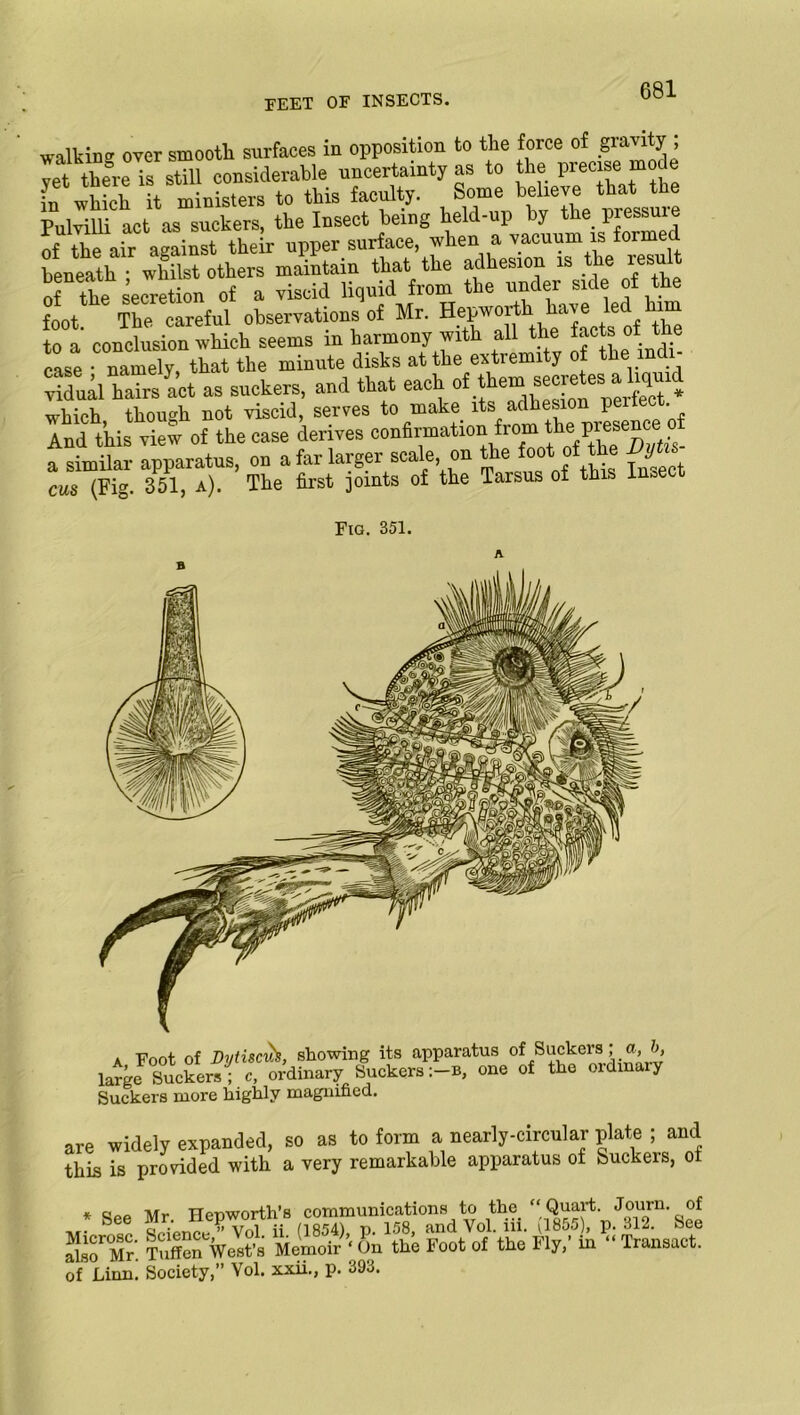 walking over smooth surfaces in opposition to tlie force of gravity ; vet there is still considerable uncertainty as to the precise-mode fn which it ministers to this faculty. Some believe that the Pulvilli act as suckers, the Insect being held-up by the. presume of the air against their upper surface, when a vacuum is formed beneath whilst others maintain that the adhesion is the result of the secretion of a viscid liquid from the under side of the foot. The careful observations of Mr. ^ to a conclusion which seems in harmony with all the tacts oi tne case namely that the minute disks at the extremity of the indi- vidual hairs act as suckers, and that each of them secretes* a liqun which though not viscid, serves to make its adhesion peite . And this view of the case derives confirmation from th a similar apparatus, on a far larger scale, on the foot of the JJyti cas (Fig. 351, a). The first joints of the Tarsus of this In*e Fig. 351. a Foot of DytiscuS, showing its apparatus of Suchors; a, 5, large Suckers; c, ordinary Suckersb, one of the oidmary Suckers more highly magnified. are widely expanded, so as to form a nearly-circular plate ; and this is provided with a very remarkable apparatus of Suckers, of * See Mr. ”»orMr TuS WeVs Memoir' On the Foot of the Fly,' in •' Transact. Of Linn. Society,” Vol. xxii., p. 393.