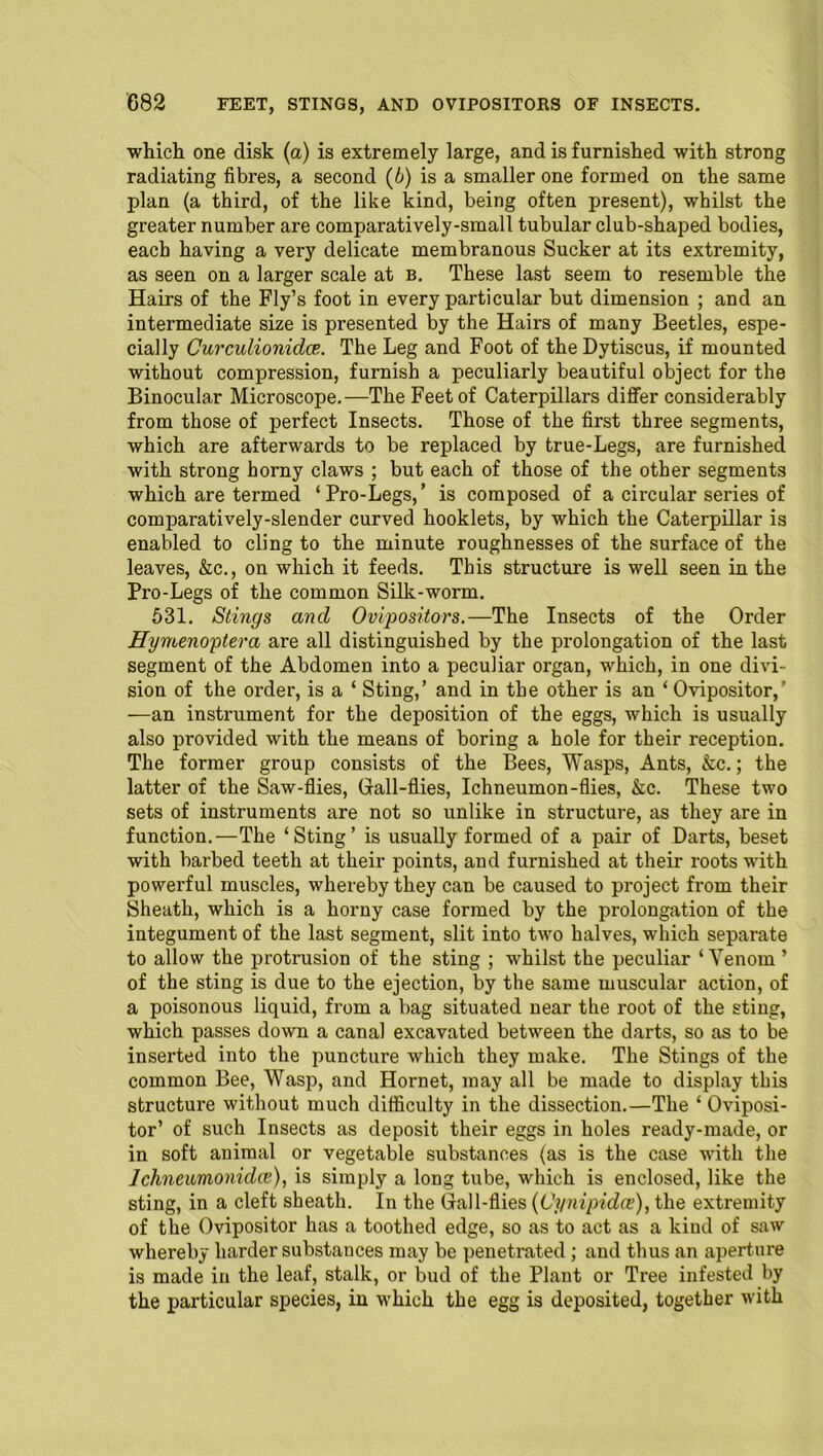 which one disk (a) is extremely large, and is furnished with strong radiating fibres, a second (6) is a smaller one formed on the same plan (a third, of the like kind, being often present), whilst the greater number are comparatively-small tubular club-shaped bodies, each having a very delicate membranous Sucker at its extremity, as seen on a larger scale at b. These last seem to resemble the Hairs of the Fly’s foot in every particular but dimension ; and an intermediate size is presented by the Hairs of many Beetles, espe- cially Curculionidce. The Leg and Foot of the Dytiscus, if mounted without compression, furnish a peculiarly beautiful object for the Binocular Microscope.—The Feet of Caterpillars differ considerably from those of perfect Insects. Those of the first three segments, which are afterwards to be replaced by true-Legs, are furnished with strong horny claws ; but each of those of the other segments which are termed ‘Pro-Legs,’ is composed of a circular series of comparatively-slender curved booklets, by which the Caterpillar is enabled to cling to the minute roughnesses of the surface of the leaves, &c., on which it feeds. This structure is well seen in the Pro-Legs of the common Silk-worm. 531. Stings and Ovipositors.—The Insects of the Order Hymenoptera are all distinguished by the prolongation of the last segment of the Abdomen into a peculiar organ, which, in one divi- sion of the order, is a ‘ Sting,’ and in the other is an ‘Ovipositor,’ —an instrument for the deposition of the eggs, which is usually also provided with the means of boring a hole for their reception. The former group consists of the Bees, Wasps, Ants, &c.; the latter of the Saw-flies, Gall-flies, Ichneumon-flies, &c. These two sets of instruments are not so unlike in structure, as they are in function.—The ‘Sting’ is usually formed of a pair of Darts, beset with barbed teeth at their points, and furnished at their roots with powerful muscles, whereby they can be caused to project from their Sheath, which is a horny case formed by the prolongation of the integument of the last segment, slit into two halves, which separate to allow the protrusion of the sting ; whilst the peculiar ‘Venom ’ of the sting is due to the ejection, by the same muscular action, of a poisonous liquid, from a bag situated near the root of the sting, which passes down a canal excavated between the darts, so as to be inserted into the puncture which they make. The Stings of the common Bee, Wasp, and Hornet, may all be made to display this structure without much difficulty in the dissection.—The ‘ Oviposi- tor’ of such Insects as deposit their eggs in holes ready-made, or in soft animal or vegetable substances (as is the case with the Ichneumonidce), is simply a long tube, which is enclosed, like the sting, in a cleft sheath. In the Gall-flies (Cynipidae), the extremity of the Ovipositor has a toothed edge, so as to act as a kind of saw whereby harder substances may be penetrated ; and thus an aperture is made in the leaf, stalk, or bud of the Plant or Tree infested by the particular species, in which the egg is deposited, together with