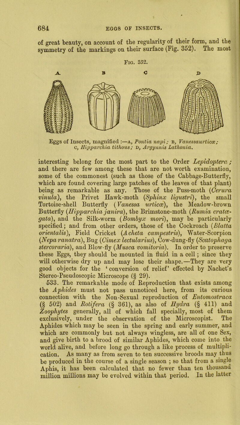 of great beauty, on account of tbe regularity of their form, and the symmetry of the markings on their surface (Fig. 352). The most Fig. 352. interesting belong for the most part to the Order Lepidopterci; and there are few among these that are not worth examination, some of the commonest (such as those of the Cabbage-Butterfly, which are found covering large patches of the leaves of that plant) being as remarkable as any. Those of the Puss-moth (Cerura vinula), the Privet Hawk-moth (Sphinx ligustri), the small Tortoise-shell Butterfly (Vanessa urticce), the Meadow-brown Butterfly (Hipparcliia janira), the Brimstone-moth (Rumia cratce- gata), and the Silk-worm (Bombyx mori), may be particularly specified; and from other orders, those of the Cockroach (Blatta orientalis), Field Cricket (Acheta campestris), Water-Scorpion (Nepa ranatra), Bug (Cimex lectularius), Cow-dung-fly (Scatophaga stercoraria), and Blow-fly (Musca vomitoria). In order to preserve these Eggs, they should be mounted in fluid in a cell; since they will otherwise dry up and may lose their shape.—They are very good objects for the ‘ conversion of relief’ effected by Nachet’s Stereo-Pseudoscopic Microscope (§ 29). 533. The remarkable mode of Reproduction that exists among the Aphides must not pass unnoticed here, from its curious connection with the Non-Sexual reproduction of Entomostraca (§ 502) and Rolifera (§ 361), as also of Hydra (§ 411) and Zoophytes generally, all of which fall specially, most of them exclusively, under the observation of the Microscopist. The Aphides which may be seen in the spring and early summer, and which are commonly but not always wingless, are all of one Sex, and give birth to a brood of similar Aphides, which come into the world alive, and before long go through a like process of multipli- cation. As many as from seven to ten successive broods may thus be produced in the course of a single season ; so that from a single Aphis, it has been calculated that no fewer than ten thousand million millions may be evolved within that period. In the latter