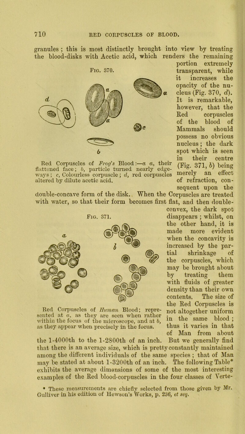 Red Corpuscles of Frog’s Blood:—a a, their flattened face; b, particle turned nearly edge- ways ; c, Colourless corpuscle; d, red corpuscles altered by dilute acetic acid. granules ; this is most distinctly brought into view by treating the blood-dishs with Acetic acid, which renders the remaining portion extremely Fig. 370. transparent, while it increases the opacity of the nu- cleus (Fig. 370, d). It is remarkable, however, that the Red corpuscles of the blood of Mammals should possess no obvious nucleus ; the dark spot which is seen in their centre (Fig. 371, b) being merely an effect of refraction, con- sequent upon the double-concave form of the disk. When the Corpuscles are treated with water, so that their form becomes first flat, and then double- convex, the dark spot Fig. 371. disappears ; whilst, on the other hand, it is made more evident when the concavity is increased by the par- tial shrinkage of the corpuscles, which may be brought about by treating them with fluids of greater density than their own contents. The size of the Red Corpuscles is not altogether uniform in the same blood ; thus it varies in that of Man from about the 1-4000th to the l-2800th of an inch. But we generally find that there is an average size, which is pretty constantly maintained among the different individuals of the same species ; that of Man may be stated at about l-3200th of an inch. The following Table* exhibits the average dimensions of some of the most interesting examples of the Red blood-corpuscles in the four classes of Yerte- * These measurements are chiefly selected from those given by Mr. Gulliver in his edition of Hewson’s Works, p. 236, et seq. Red Corpuscles of Human Blood; repre- sented at a, as they are seen when rather within the focus of the microscope, and at b, as they appear when precisely in the focus.