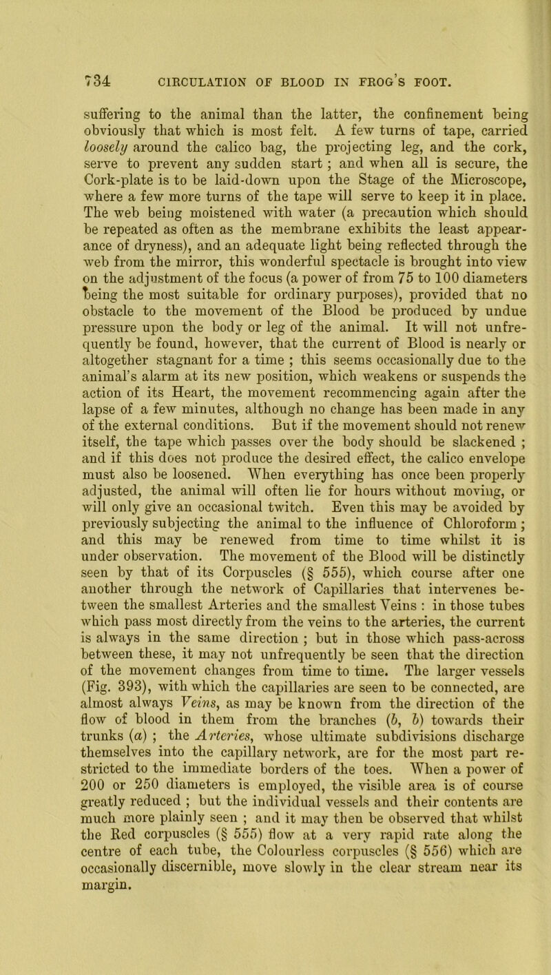 suffering to the animal than the latter, the confinement being obviously that which is most felt. A few turns of tape, carried loosely around the calico bag, the projecting leg, and the cork, serve to prevent any sudden start; and when all is secure, the Cork-plate is to be laid-down upon the Stage of the Microscope, where a few more turns of the tape will serve to keep it in place. The web being moistened with water (a precaution which should be repeated as often as the membrane exhibits the least appear- ance of dryness), and an adequate light being reflected through the web from the mirror, this wonderful spectacle is brought into view on the adjustment of the focus (a power of from 75 to 100 diameters being the most suitable for ordinary purposes), provided that no obstacle to the movement of the Blood be produced by undue pressure upon the body or leg of the animal. It will not unfre- quently be found, however, that the current of Blood is nearly or altogether stagnant for a time ; this seems occasionally due to the animal’s alarm at its new position, which weakens or suspends the action of its Heart, the movement recommencing again after the lapse of a few minutes, although no change has been made in any of the external conditions. But if the movement should not renew itself, the tape which passes over the body should be slackened ; and if this does not produce the desired effect, the calico envelope must also be loosened. When everything has once been properly adjusted, the animal will often lie for hours without moving, or will only give an occasional twitch. Even this may be avoided by previously subjecting the animal to the influence of Chloroform ; and this may be renewed from time to time whilst it is under observation. The movement of the Blood will be distinctly seen by that of its Corpuscles (§ 555), which course after one another through the network of Capillaries that intervenes be- tween the smallest Arteries and the smallest Veins : in those tubes which pass most directly from the veins to the arteries, the current is always in the same direction ; but in those which pass-across between these, it may not unfrequently be seen that the direction of the movement changes from time to time. The larger vessels (Fig. 393), with which the capillaries are seen to be connected, are almost always Veins, as may be known from the direction of the flow of blood in them from the branches (5, b) towards their trunks (a) ; the Arteries, whose ultimate subdivisions discharge themselves into the capillary network, are for the most part re- stricted to the immediate borders of the toes. When a power of 200 or 250 diameters is employed, the visible area is of course greatly reduced ; but the individual vessels and their contents are much more plainly seen ; and it may then be observed that whilst the Red corpuscles (§ 555) flow at a very rapid rate along the centre of each tube, the Colourless corpuscles (§ 556) which are occasionally discernible, move slowly in the clear stream near its