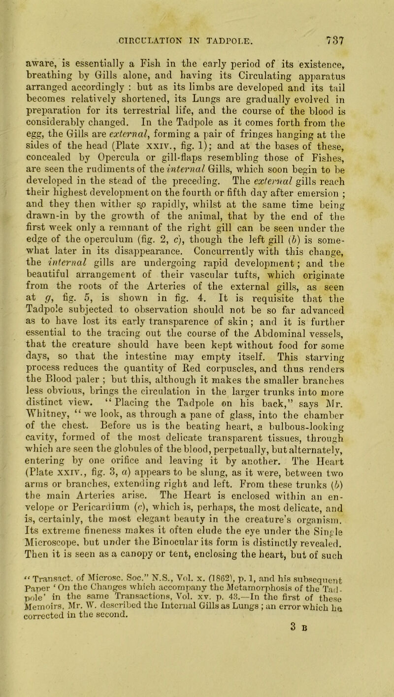 aware, is essentially a Fish in the early period of its existence, breathing by Gills alone, and having its Circulating apparatus arranged accordingly : but as its limbs are developed and its tail becomes relatively shortened, its Lungs are gradually evolved in preparation for its terrestrial life, and the course of the blood is considerably changed. In the Tadpole as it comes forth from the egg, the Gills are external, forming a pair of fringes hanging at the sides of the head (Plate xxiv., fig. 1); and at the bases of these, concealed by Opercula or gill-flaps resembling those of Fishes, are seen the rudiments of the internal Gills, which soon begin to be developed in the stead of the preceding. The external gills reach their highest development on the fourth or fifth day after emersion ; and they then wither sp rapidly, whilst at the same time being drawn-in by the growth of the animal, that by the end of the first week only a remnant of the right gill can be seen under the edge of the operculum (fig. 2, c), though the left gill (b) is some- what later in its disappearance. Concurrently with this change, the internal gills are undergoing rapid development; and the beautiful arrangement of their vascular tufts, which originate from the roots of the Arteries of the external gills, as seen at g, fig. 5, is shown in fig. 4. It is requisite that the Tadpole subjected to observation should not be so far advanced as to have lost its early transparence of skin ; and it is further essential to the tracing out the course of the Abdominal vessels, that the creature should have been kept without food for some days, so that the intestine may empty itself. This starving process reduces the quantity of Red corpuscles, and thus renders the Blood paler ; but this, although it makes the smaller branches less obvious, brings the circulation in the larger trunks into more distinct view. “ Placing the Tadpole on his back,” says Mr. Whitney, “ we look, as through a pane of glass, into the chamber of the chest. Before us is the beating heart, a bulbous-looking cavity, formed of the most delicate transparent tissues, through which are seen the globules of the blood, perpetually, but alternately, entering by one orifice and leaving it by another. The Heart (Plate xxiv., fig. 3, a) appears to be slung, as it were, between two arms or branches, extending right and left. From these trunks (/>) the main Arteries arise. The Heart is enclosed within an en- velope or Pericardium (c), which is, perhaps, the most delicate, and is, certainly, the most elegant beauty in the creature’s organism. Its extreme fineness makes it often elude the eye under the Single Microscope, but under the Binocular its form is distinctly revealed. Then it is seen as a canopy or tent, enclosing the heart, but of such “ Transact, of Microsc. Soc.” N.S., Vol. x. (1862), p. 1, and his subsequent Paper ‘ On the Changes which accompany the Metamorphosis of the Tad- pole’ in the same Transactions, Vol. xv. p. 48.—In the first of these Memoirs, Mr. W. described the Internal Gills as Lungs ; an error which he corrected in the second. 3 B