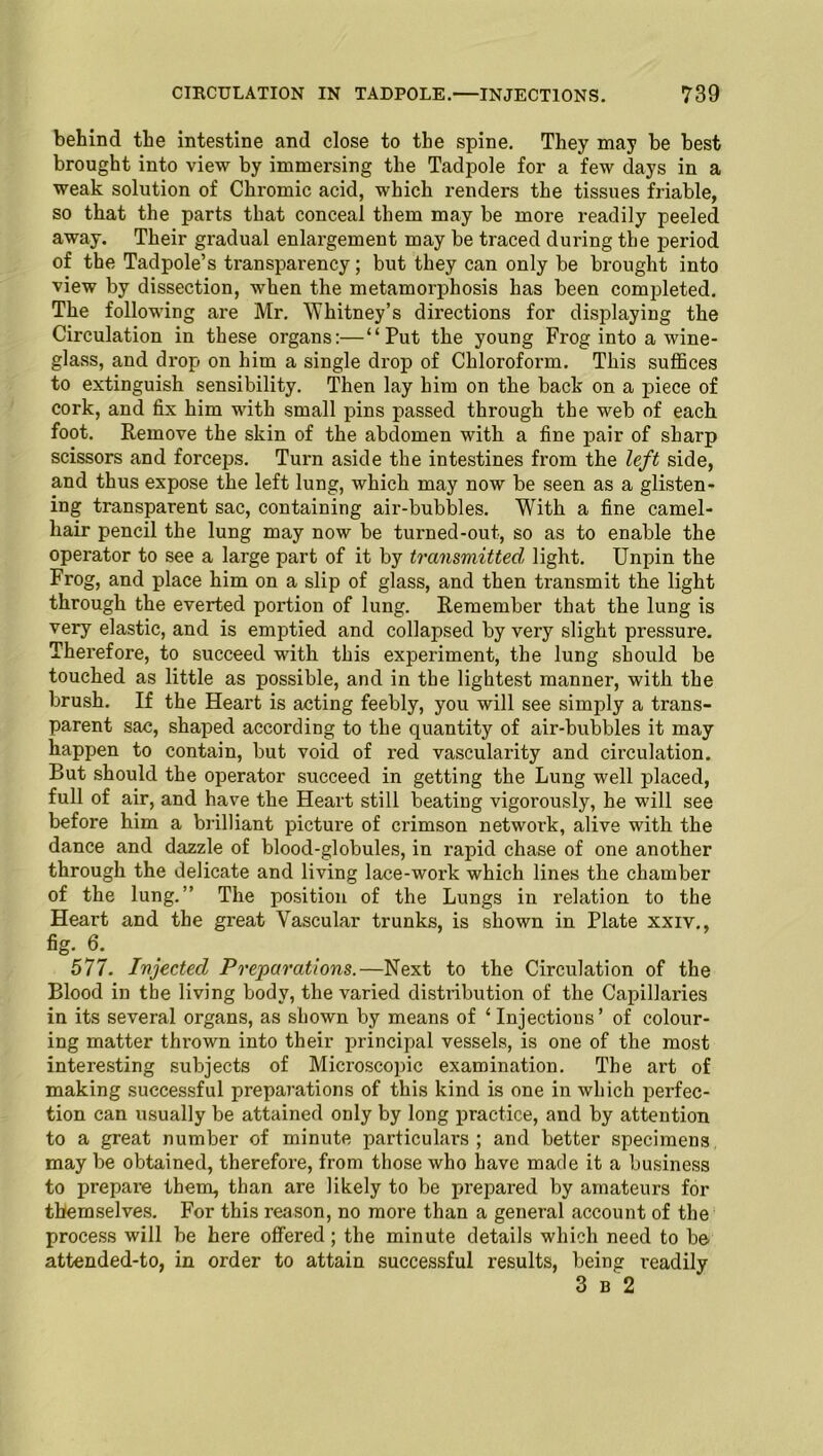 behind the intestine and close to the spine. They may be best brought into view by immersing the Tadpole for a few days in a weak solution of Chromic acid, which renders the tissues friable, so that the parts that conceal them may be more readily peeled away. Their gradual enlargement may be traced during the period of the Tadpole’s transparency; but they can only be brought into view by dissection, when the metamorphosis has been completed. The following are Mr. Whitney’s directions for displaying the Circulation in these organs:—“Put the young Frog into a wine- glass, and drop on him a single drop of Chloroform. This suffices to extinguish sensibility. Then lay him on the back on a piece of cork, and fix him with small pins passed through the web of each foot. Remove the skin of the abdomen with a fine pair of sharp scissors and forceps. Turn aside the intestines from the left side, and thus expose the left lung, which may now be seen as a glisten- ing transparent sac, containing air-bubbles. With a fine camel- hair pencil the lung may now be turned-out, so as to enable the operator to see a large part of it by transmitted light. Unpin the Frog, and place him on a slip of glass, and then transmit the light through the everted portion of lung. Remember that the lung is very elastic, and is emptied and collapsed by very slight pressure. Therefore, to succeed with this experiment, the lung should be touched as little as possible, and in the lightest manner, with the brush. If the Heart is acting feebly, you will see simply a trans- parent sac, shaped according to the quantity of air-bubbles it may happen to contain, but void of red vascularity and circulation. But should the operator succeed in getting the Lung well placed, full of air, and have the Heart still beating vigorously, he will see before him a brilliant picture of crimson network, alive with the dance and dazzle of blood-globules, in rapid chase of one another through the delicate and living lace-work which lines the chamber of the lung.” The position of the Lungs in relation to the Heart and the great Vascular trunks, is shown in Plate xxiv., fig. 6^ 577. Injected Preparations.—Next to the Circulation of the Blood in the living body, the varied distribution of the Capillaries in its several organs, as shown by means of ‘ Injections’ of colour- ing matter thrown into their principal vessels, is one of the most interesting subjects of Microscopic examination. The art of making successful preparations of this kind is one in which perfec- tion can usually be attained only by long practice, and by attention to a great number of minute particulars ; and better specimens may be obtained, therefore, from those who have made it a business to prepare them, than are likely to be prepared by amateurs for themselves. For this reason, no more than a general account of the process will be here offered; the minute details which need to be attended-to, in order to attain successful results, being readily 3 b 2