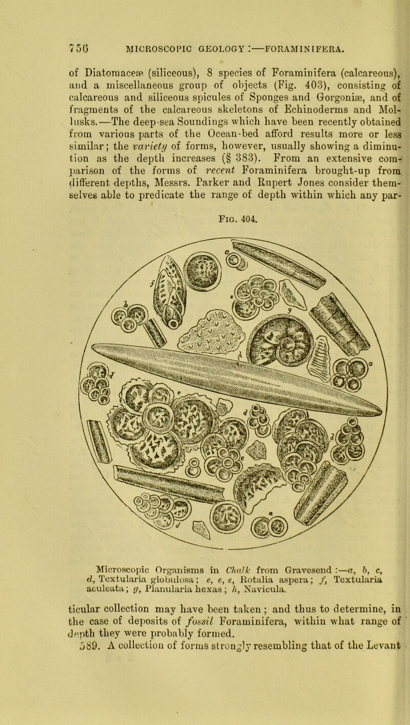 750 MICROSCOPIC GEOLOGY !—FOR AM INIFER A. of Diatornacea? (siliceous), 8 species of Foramiuifera (calcareous), and a miscellaneous group of objects (Fig. 403), consisting of calcareous and siliceous spicules of Sponges and Gorgonim, and of fragments of the calcareous skeletons of Echinoderms and Mol- lusks.—The deep-sea Soundings which have been recently obtained from various parts of the Ocean-bed afford results more or less similar; the variety of forms, however, usually showing a diminu- tion as the depth increases (§ 383). From an extensive com- parison of the forms of recent Foraminifera brought-up from different depths, Messrs. Parker and Rupert Jones consider them- selves able to predicate the range of depth within which any par- Fig. 404. Microscopic Organisms in Chalk from Gravesend :—a, h, c, d, Textularia globulosa; e, e, e, Rotalia aspera; /, Textularia aculeata; g, Planularia hexas ; h, Navicula. ticular collection may have been taken ; and thus to determine, in the case of deposits of fossil Foraminifera, within what range of depth they were probably formed. 589. A collection of forms strongly resembling that of the Levant