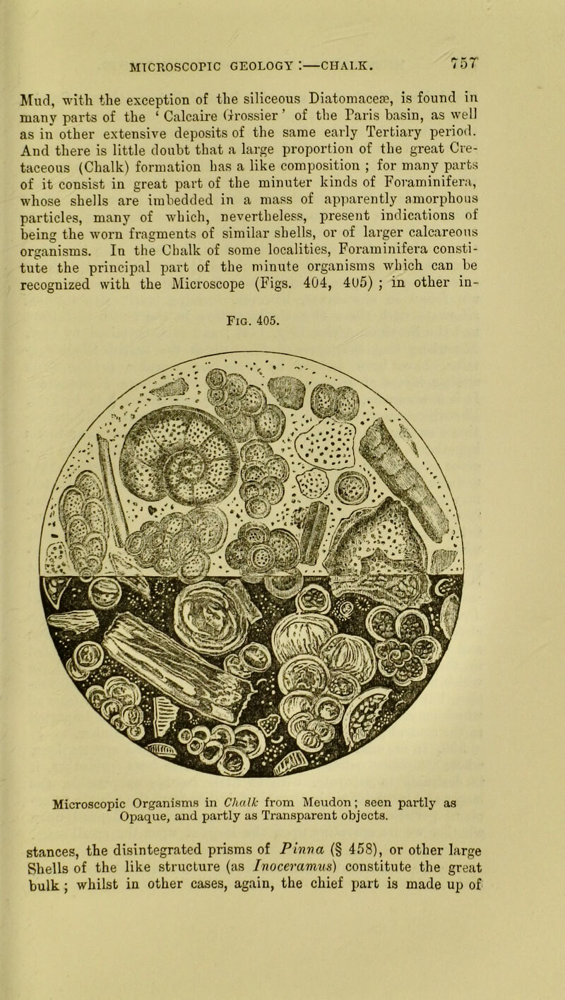 MICROSCOPIC GEOLOGY I—CHALK. Mud, with the exception of the siliceous Diatomacese, is found in many parts of the ‘ Calcaire drossier ’ of the Paris basin, as well as in other extensive deposits of the same early Tertiary period. And there is little doubt that a large proportion of the great Cre- taceous (Chalk) formation has a like composition ; for many parts of it consist in great part of the minuter kinds of Foraminifera, whose shells are imbedded in a mass of apparently amorphous particles, many of which, nevertheless, present indications of being the worn fi’agments of similar shells, or of larger calcareous organisms. In the Chalk of some localities, Foraminifera consti- tute the principal part of the minute organisms which can be recognized with the Microscope (Figs. 404, 405) ; in other in- Fig. 405. Microscopic Organisms in Chalk from Meudon; seen partly as Opaque, and partly as Transparent objects. stances, the disintegrated prisms of Pinva (§ 458), or other large Shells of the like structure (as Inoceramus) constitute the great bulk ; whilst in other cases, again, the chief part is made up of