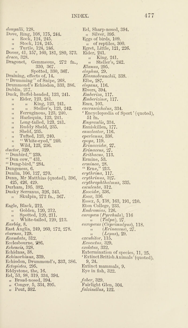 dougalli, 128. Dove, Ring, 108, 175, 244. h Rock, 124, 245. „ Stock, 124, 245. „ Turtle, 124, 246. Dover, 41, 157, 160, 181, 280, 373. draco, 328. Dragonet, Gemmeous, 272 fn., 330, 367. „ Spotted, 330, 367. Draining, effects of, 14. “ Drumming” of Snipe, 268. Drummond’s Echiodon, 333, 386. Dublin, 217. Duck, Buffel-headed, 123, 241. ii Eider, 123, 241. ii it King, 123, 241. „ ,, Steller’s, 123, 242. it Ferruginous, 123, 240. ii Harlequin, 123, 241. ii Long-tailed, 123, 241. „ Ruddy Sheld, 235. „ Sheld, 235. „ Tufted, 123, 240. ii “ White-eyed,” 240. „ Wild, 123, 236. ductor, 329. “ Dunbird,” 239. “ Dun cow,” 431. “ Dung-bird,” 284. Dungeness, 6. Dunlin, 106, 127, 270. Dunn, Mr Matthias (quoted), 396, 425, 426, 429. Durham, 195, 382. Dusky Serranus, 326, 343. ,i Skulpin, 272 fn., 367. Eagle, Black, 212. „ Golden, 120, 212. „ Spotted, 120, 211. it White-tailed, 120, 213. Earbog, 8. East Anglia, 249, 260, 272, 278. ehurnea, 129. Kcaudata, 312. Ecclesbourne, 286. Echeneis, 328. Echidnas, 38. Echinorliinus, 339. Echiodon, Drummond’s, 333, 386. Ectopistes, 295. Eddystone, the, 16. Eel, 53, 98, 319, 334, 394. ti Broad-nosed, 394. ii Conger, 5, 334, 395. Pout, 382. Eel, Sharp-nosed, 394. „ Silver, 395. Eggs of birds, 109. ii of reptiles, 300. Egret, Little, 121, 226. Eider, 241. ii King, 241. ii Steller’s, 242. ElanuSy 295. elaphus, 29. Elasmobrancliii, 338. Elbe, 287. elegans, 116. Elvers, 394. Emberiza, 117. Emberizince, 117. Emu, 103. encrascicholus, 334. ‘ Encyclopaedia of Sport ’ (quoted), 51 fn. EngrauliSy 334. Enniskillen, 177. enucleator, 116. eperlanus, 336. epops, 119. Erinaccidce, 27. Erinaceus, 27. Erithacus, 113. Ermine, 53. erminca, 28. “ Erne,” 213. erythrina, 117. erythrinus, 327. erythrophthulmus, 335. esculenta, 312. Esocidce, 336. Esox, 336. Essex, 5, 138, 163, 191, 210. Eton College, 233. Eudromias, 126. curopcca (Pyrrhula), 116 ii (Taipei), 27. europccus (Capi'imulgus), 118. ti (Erinaceus), ‘27. ti (Lepus), 29. excubitor, 115. Exococtus, 329. exoletus, 332. Extermination of species, 11, 25. ‘Extinct British Animals’(quoted) 9, 24. Extinct mammals, 9. Eye in fish, 322. faber, 329. Fairlight Glen, 304. falcinelluSy 122. tf