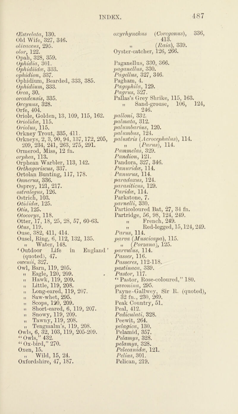 (Estrelata, 130. Old Wife, 327, 346. olivaeeus, 295. olor, 122. Opali, 328, 359. <Jphidia, 301. Ophidiidcv, 333. ophidion, 337. Ophidium, Bearded, 333, 385. Ophidium, 333. Urea, 30. orcadensis, 335. Orcynus, 328. Orfe, 404. Oriole, Golden, 13, 109, 115, 162. Oriolidce, 115. Oriolus, 115. Orkney Trout, 335, 411. Orkneys, 2, 3, 90, 94, 137,172, 205, 209/234, 241, 263, 275, 291. Ormerod, Miss, 12 fn. orphea, 113. Orphean Warbler, 113, 142. Orthagoriscus, 337. Ortolan Bunting, 117, 178. Osmerus, 336. Osprey, 121, 217. ostralegus, 126. Ostrich, 103. Otididte, 125. Otis, 125. Otocorys, 118. Otter, 17, 18, 25, 28, 57, 60-63. Otus, 119. Ouse, 382, 411, 414. Ousel, Ring, 6, 112, 132, 135. ti Water, 148. ‘ Outdoor Life in England1 (quoted), 47. owenii, 327. Owl, Barn, 119, 205. ii Eagle, 120, 209. ii Hawk, 119, 209. ii Little, 119, 208. it Long-eared, 119, 207. n Saw-whet, 295. ii Scops, 120, 209. ii Short-eared, 6, 119, 207. n Snowy, 119, 209. n Tawny, 119, 208. ii Tengmalm’s, 119, 208. Owls, 6, 32, 103, 119, 205-209. “Owls,” 432. “ Ox-bird,” 270. Oxen, 15. „ Wild, 15, 24. Oxfordshire, 47, 187. oxyrhynchus (Corey onus), 336, 413. ,i (Raia), 339. Oyster-eatelier, 126, 266. Paganellus, 330, 366. paganellus, 330. Pagellus, 327, 346. Pagham, 4. Pagophita, 129. Pagrus, 327. Pallas’s Grey Shrike, 115, 163. ii Sand-grouse, 106, 124, 246. palloni, 332. palmata, 312. palumbarius, 120. palumbits, 124. palustris (Acrocephalus), 114. ii (Parus), 114. Pammelas, 329. Pandion, 121. Pandora, 327, 346. Panuridce, 114. Panurits, 114. paradoxus, 124. parasiticus, 129. Paridoe, 114. Parkstone, 7. parnelli, 330. Particoloured Bat, 27, 34 fn. Partridge, 56, 98, 124, 249. ii French, 249. it Red-legged, 15,124, 249. Pants, 114. parva (Muscicapa), 115. it (Porzana), 125. parvulus, 114. Passer, 116. Passer es, 112-118. pastinaca, 339. Pastor, 117. “Pastor, Rose-coloured,” 180. pavonina, 295. Payne-Gallwey, Sir R. (quoted), 32 fn., 230, 269. Peak Country, 51. Peal, 412. Pediculati, 328. Peewit, 264. pelagica, 130. Pelamid, 357. Pelamys, 328. pelamys, 328. Pelecanidat, 121. Pelias, 301. Pelican, 219.