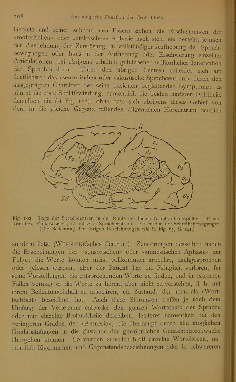 Gebiets und seiner subcorticalen Fasern ziehen die Erscheinungen der »motorischen« oder »ataktischen« Aphasie nach sich: sie besteht, je nach der Ausdehnung der Zerstörung, in vollständiger Aufhebung der Sprach- bewegungen oder bloß in der Aufhebung oder Erschwerung einzelner Articulationen, bei übrigens erhalten gebliebener willkürlicher Innervation der Sprachmuskeln. Unter den übrigen Centren scheidet sich am deutlichsten das »sensorische« oder »akustische Sprachcentrum« durch den ausgeprägten Charakter der seine Läsionen begleitenden Symptome: es nimmt die erste Schläfewindung, namentlich die beiden hinteren Dritttheile derselben ein (A Fig. 102), ohne dass sich übrigens dieses Gebiet von dem in die gleiche Gegend fallenden allgemeinen Hörcentrum deutlich Fig. 102. Lage der Sprachcentren in der Rinde der linken Großhirnhemisphäre. M mo- torisches, A akustisches, 0 optisches Sprachcentrum. S Centrum der Schreibebewegungen. (Die Bedeutung der übrigen Bezeichnungen wie in Fig. 65, S. 141.) sondern ließe (WERNlCKE’sches Centrum). Zerstörungen desselben haben die Erscheinungen der »sensorischen« oder »amnestischen Aphasie« zur Folge: die Worte können meist vollkommen articulirt, nachgesprochen oder gelesen werden; aber der Patient hat die Fähigkeit verloren, für seine Vorstellungen die entsprechenden Worte zu finden, und in extremen Fällen vermag er die Worte zu hören, aber nicht zu verstehen, d. h. mit ihrem Bedeutungsinhalt zu associiren, ein Zustand, den man als »Wort- taubheit« bezeichnet hat. Auch diese Störungen treffen je nach dem Umfang der Verletzung entweder den ganzen Wortschatz der Sprache oder nur einzelne Bestandteile desselben, letzteres namentlich bei den geringeren Graden der »Amnesie«, die überhaupt durch alle möglichen Gradabstufungen in die Zustände der gewöhnlichen Gedächtnisschwäche übergehen können. So werden zuweilen bloß einzelne Wortclassen, na- mentlich Eigennamen und Gegenstandsbezeichnungen oder in schwereren