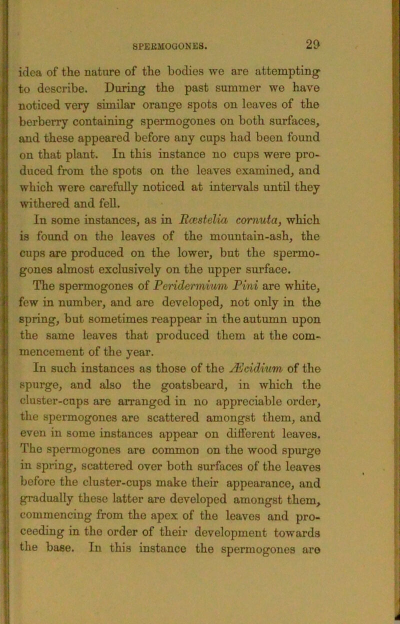 8PEEMOG0NJBS. 2& idea of the nature of the bodies we are attempting- to describe. During the past summer we have noticed very similar orange spots on leaves of the berberry containing spermogones on both surfaces, and these appeared before any cups had been found on that plant. In this instance no cups were pro- duced from the spots on the leaves examined, and which were carefully noticed at intervals until they withered and fell. In some instances, as in Rcestelia cornuta, which is found on the leaves of the mountain-ash, the cups are produced on the lower, but the spermo- gones almost exclusively on the upper surface. The spermogones of Peridermnim Pini are white, few in number, and are developed, not only in the spring, but sometimes reappear in the autumn upon the same leaves that produced them at the com- mencement of the year. In such instances as those of the jpJcidium of the spurge, and also the goatsbeard, in which the cluster-cups are arranged in no appreciable order, the spermogones are scattered amongst them, and even in some instances appear on different leaves. The spermogones are common on the wood spurge in spring, scattered over both surfaces of the leaves before the cluster-cups make their appearance, and gradually these latter are developed amongst them, commencing from the apex of the leaves and pro- ceeding in the order of their development towards