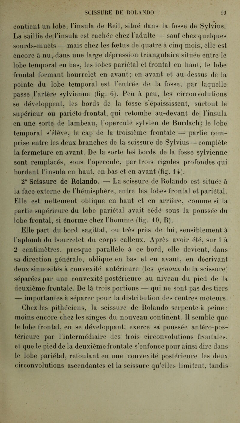 » contient un lobe, l’insula de Reil, situé dans la fosse de Sylvius. La saillie de l’insula est cachée chez l'adulte — sauf chez quelques sourds-muets — mais chez les fœtus de quatre à cinq mois, elle est encore à nu, dans une large dépression triangulaire située entre le lobe temporal en bas, les lobes pariétal et frontal en haut, le lobe frontal formant bourrelet en avant; en avant et au-dessus de la pointe du lobe temporal est l'entrée de la fosse, par laquelle passe l’artère sylvienne (fig. 6). Peu à peu, les circonvolutions se développent, les bords de la fosse s’épaississent, surtout le supérieur ou pariéto-frontal, qui retombe au-devant de l’insula en une sorte de lambeau, l’opercule sylvien de Burdach; le lobe temporal s’élève, le cap de la troisième frontale — partie com- prise entre les deux branches de la scissure de Sylvius — complète la fermeture en avant. De la sorte les bords de la fosse sylvienne sont remplacés, sous l’opercule, par trois rigoles profondes qui bordent l’insula en haut, en bas et en avant (fig. li). 2° Scissure de Rolando. — La scissure de Rolando est située à la face externe de l’hémisphère, entre les lobes frontal et pariétal. Elle est nettement oblique en haut et en arrière, comme si la partie supérieure du lobe pariétal avait cédé sous la poussée du lobe frontal, si énorme chez l’homme (fig. 10, R). Elle part du bord sagittal, ou très près de lui, sensiblement à l’aplomb du bourrelet du corps calleux. Après avoir été, sur 1 à 2 centimètres, presque parallèle à ce bord, elle devient, dans sa direction générale, oblique en bas et en avant, en décrivant deux sinuosités à convexité antérieure (les yenoux de la scissure) séparées par une convexité postérieure au niveau du pied de la deuxième frontale. De là trois portions — qui ne sont pas des tiers — importantes à séparer pour la distribution des centres moteurs. Chez les pithéciens, la scissure de Rolando serpente à peine ; moins encore chez les singes du nouveau continent. Il semble que le lobe frontal, en se développant, exerce sa poussée antéro-pos- térieure par l’intermédiaire des trois circonvolutions frontales, et que le pied de la deuxième frontale s’enfonce pour ainsi dire dans le lobe pariétal, refoulant en une convexité postérieure les deux circonvolutions ascendantes et la scissure qu’elles limitent, tandis