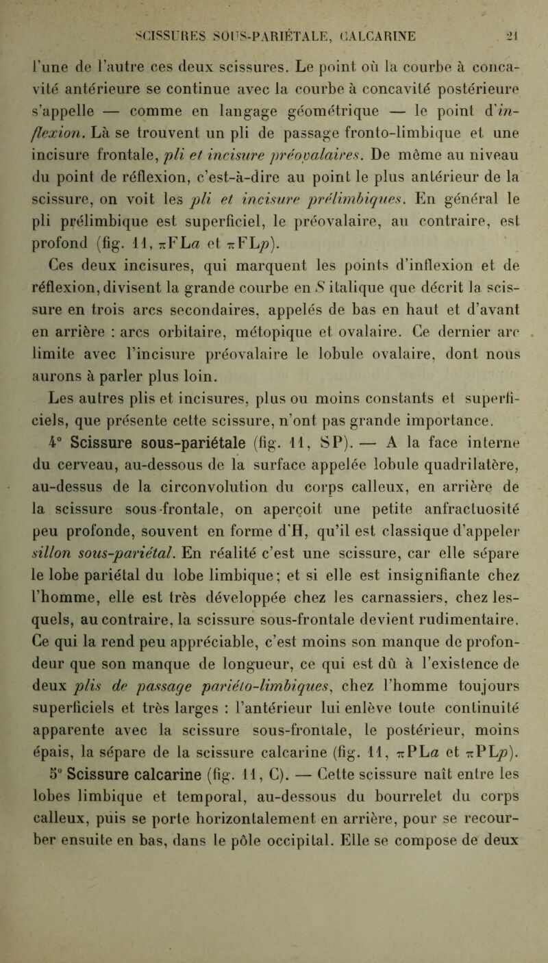 l’une de l’autre ces deux scissures. Le point où la courbe à conca- vité antérieure se continue avec la courbe à concavité postérieure s’appelle — comme en langage géométrique — le point d'in- flexion. Là se trouvent un pli de passage fronto-limbique et une incisure frontale, pli et incisure préovalaires. De même au niveau du point de réflexion, c’est-à-dire au point le plus antérieur de la scissure, on voit les pli et incisure prélimbiques. En général le pli prélimbique est superficiel, le préovalaire, au contraire, est profond (fig. 11, tcFLæ et nYLp). Ces deux incisures, qui marquent les points d’inflexion et de réflexion, divisent la grande courbe en *S italique que décrit la scis- sure en trois arcs secondaires, appelés de bas en haut et d’avant en arrière : arcs orbitaire, métopique et ovalaire. Ce dernier arc limite avec l’incisure préovalaire le lobule ovalaire, dont nous aurons à parler plus loin. Les autres plis et incisures, plus ou moins constants et superfi- ciels, que présente cette scissure, n’ont pas grande importance. 4° Scissure sous-pariétale (fig. 11, SP).— A la face interne du cerveau, au-dessous de la surface appelée lobule quadrilatère, au-dessus de la circonvolution du corps calleux, en arrière de la scissure sous frontale, on aperçoit une petite anfractuosité peu profonde, souvent en forme d’H, qu’il est classique d’appeler sillon sous-pariétal. En réalité c’est une scissure, car elle sépare le lobe pariétal du lobe limbique; et si elle est insignifiante chez l’homme, elle est très développée chez les carnassiers, chez les- quels, au contraire, la scissure sous-frontale devient rudimentaire. Ce qui la rend peu appréciable, c’est moins son manque de profon- deur que son manque de longueur, ce qui est dû à l’existence de deux plis de passage pariélo-limbiques, chez l’homme toujours superficiels et très larges : l’antérieur lui enlève toute continuité apparente avec la scissure sous-frontale, le postérieur, moins épais, la sépare de la scissure calcarine (fig. 11, nPLa et ttPLjo). 5° Scissure calcarine (fig. 11, C). — Cette scissure naît entre les lobes limbique et temporal, au-dessous du bourrelet du corps calleux, puis se porte horizontalement en arrière, pour se recour- ber ensuite en bas, dans le pôle occipital. Elle se compose de deux