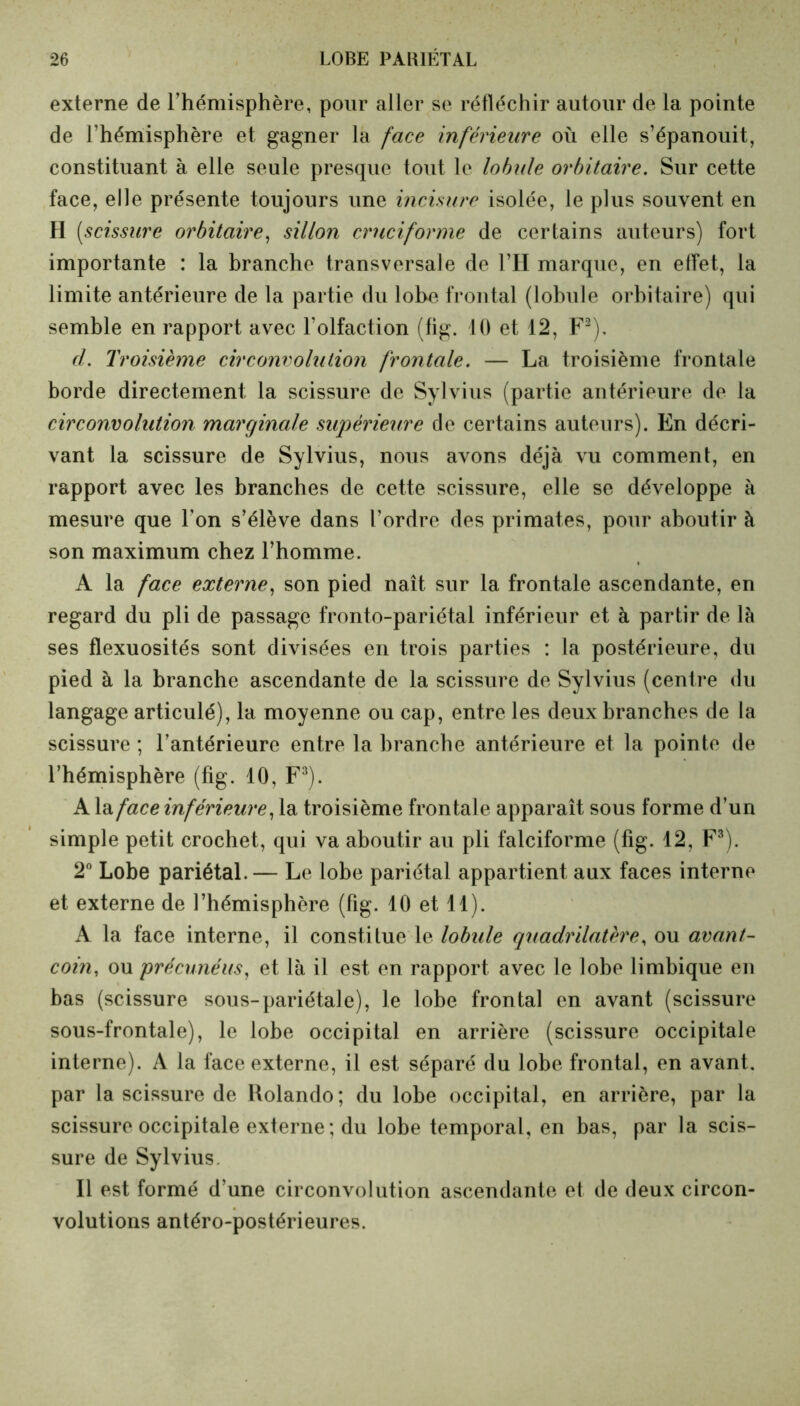 externe de l’hémisphère, pour aller se réfléchir autour de la pointe de l’hémisphère et gagner la face inférieure où elle s’épanouit, constituant à elle seule presque tout le lobule orbitaire. Sur cette face, elle présente toujours une incisure isolée, le plus souvent en H [scissure orbitaire, sillon cruciforme de certains auteurs) fort importante : la branche transversale de l’H marque, en effet, la limite antérieure de la partie du lobe frontal (lobule orbitaire) qui semble en rapport avec l’olfaction (fig. 10 et 12, F2). d. Troisième circonvolution frontale. — La troisième frontale borde directement la scissure de Sylvius (partie antérieure de la circonvolution marginale supérieure de certains auteurs). En décri- vant la scissure de Sylvius, nous avons déjà vu comment, en rapport avec les branches de cette scissure, elle se développe à mesure que Ton s’élève dans l’ordre des primates, pour aboutir à son maximum chez l’homme. A la face externe, son pied naît sur la frontale ascendante, en regard du pli de passage fronto-pariétal inférieur et à partir de là ses flexuosités sont divisées en trois parties : la postérieure, du pied à la branche ascendante de la scissure de Sylvius (centre du langage articulé), la moyenne ou cap, entre les deux branches de la scissure ; l’antérieure entre la branche antérieure et la pointe de l’hémisphère (fig. 10, F3). A la face inférieure, la troisième frontale apparaît sous forme d’un simple petit crochet, qui va aboutir au pli falciforme (fig. 12, F3). 2° Lobe pariétal. — Le lobe pariétal appartient aux faces interne et externe de l’hémisphère (fig. 10 et 11). A la face interne, il constitue le lobule quadrilatère, ou avant- coin, ou précunéus, et là il est en rapport avec le lobe limbique en bas (scissure sous-pariétale), le lobe frontal en avant (scissure sous-frontale), le lobe occipital en arrière (scissure occipitale interne). A la face externe, il est séparé du lobe frontal, en avant, par la scissure de Rolando; du lobe occipital, en arrière, par la scissure occipitale externe; du lobe temporal, en bas, par la scis- sure de Sylvius. Il est formé d’une circonvolution ascendante et de deux circon- volutions antéro-postérieures.