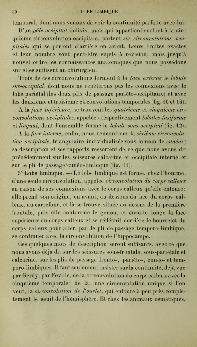 temporal, dont nous venons de voir la continuité parfaite avec lui. D’un 'pôle occipital indivis, mais qui appartient surtout à la cin- quième circonvolution occipitale, partent six circonvolutions occi- pitales qui se portent d’arrière en avant. Leurs limites exactes et leur nombre sont peut-être sujets à révision, mais jusqu’à nouvel ordre les connaissances anatomiques que nous possédons sur elles suffisent au chirurgien. Trois de ces circonvolutions forment à la face externe le lobule sus-occipital, dont nous ne répéterons pas les connexions avec le lobe pariétal (les deux plis de passage pariéto-occipitaux) et avec les deuxième et troisième circonvolutions temporales (fig. 10 et 16). A la face inférieure, se trouvent les quatrième et cinquième cir- convolutions occipitales, appelées respectivement lobules fusiforme et lingual, dont l’ensemble forme le lobule sous-occipital (fig. 12). A la face interne, enfin, nous rencontrons la sixième circonvolu- tion occipitale, triangulaire, individualisée sous le nom de cunéus; sa description et ses rapports ressortent de ce que nous avons dit précédemment sur les scissures calcarine et occipi tale interne et sur le pli de passage‘cunéo-limbique (fig. Tl). 5° Lobe limbique. — Le lobe limbique est formé, chez l’homme, d’une seule circonvolution, appelée circonvolution du corps calleux en raison de ses connexions avec le corps calleux qu’elle entoure; elle prend son origine, en avant, au-dessous du bec du corps cal- leux, au carrefour, et là se trouve située au-dessus de la première frontale, puis elle contourne le genou, et ensuite longe la face supérieure du corps calleux et se réfléchit derrière le bourrelet du corps calleux pour aller, par le pli de passage temporo-limbique, se continuer avec la circonvolution de l’hippocampe. Ces quelques mots de description seront suffisants, avec ce que nous avons déjà dit sur les scissures sous-frontale, sous-pariétale et calcarine, sur les plis de passage fronto-, pariéto-, cunéo- et tem- poro-limbiques. Il faut seulement insister sur la continuité, déjà vue par Gerdy, par Foville, de la circonvolution du corps calleux avec la cinquième temporale; de là, une circonvolution unique si Ion veut, la circonvolution de /’ourlet, qui entoure à peu près complè- tement le seuil de l’hémisphère. Et chez les animaux osmatiques,