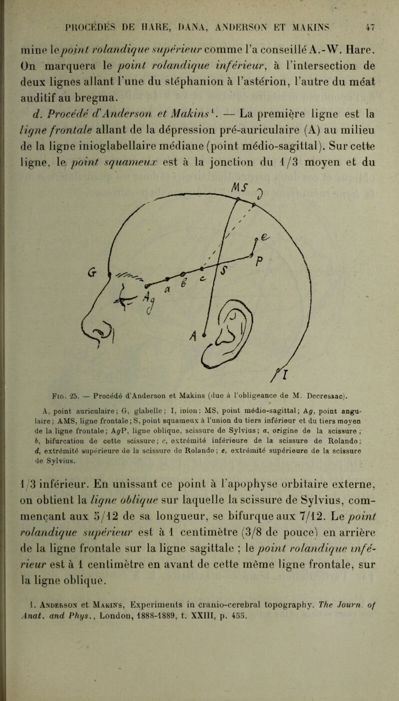mine 1 qpoint rolandique supérieur comme l’a conseillé A.-W. Hare. On marquera le point rolandique inférieur, à l’intersection de deux lignes allant l’une du stéphanion à l’astérion, l’autre du méat auditif au bregma. d. Procédé dAnderson et Makins*. — La première ligne est la ligne frontale allant de la dépression pré-auriculaire (A) au milieu de la ligne inioglabellaire médiane (point médio-sagittal). Sur cette ligne, le point squameux est à la jonction du 1/3 moyen et du Fig. 25. — Procédé d’Anderson et Makins (due à l’obligeance de M. Decressac). A, point auriculaire; G, glabelle; I, inion; MS, point médio-sagittal; A g, point angu- laire ; AMS, ligne frontale ; S, point squameux à l’union du tiers inférieur et du tiers moyen de la ligne frontale; A^P, ligne oblique, scissure de Sylvius; a, origine de la scissure; b, bifurcation de cette scissure ; c, extrémité inférieure de la scissure de Rolando ; d, extrémité supérieure de la scissure de Rolando ; e, extrémité supérieure de la scissure de Sylvius. 1/3 inférieur. En unissant ce point à l’apophyse orbitaire externe, on obtient la ligne oblique sur laquelle la scissure de Sylvius, com- mençant aux 3/12 de sa longueur, se bifurque aux 7/12. Le point rolandique supérieur est à 1 centimètre (3/8 de pouce) en arrière de la ligne frontale sur la ligne sagittale ; le point rolandique infé- rieur est à 1 centimètre en avant de cette même ligne frontale, sur la ligne oblique. 1. Anderson et Makins, Experiments in cranio-cerebral topography. The Journ of Anat. and Phys., London, 1888-1889, t. XXIII, p. 455.