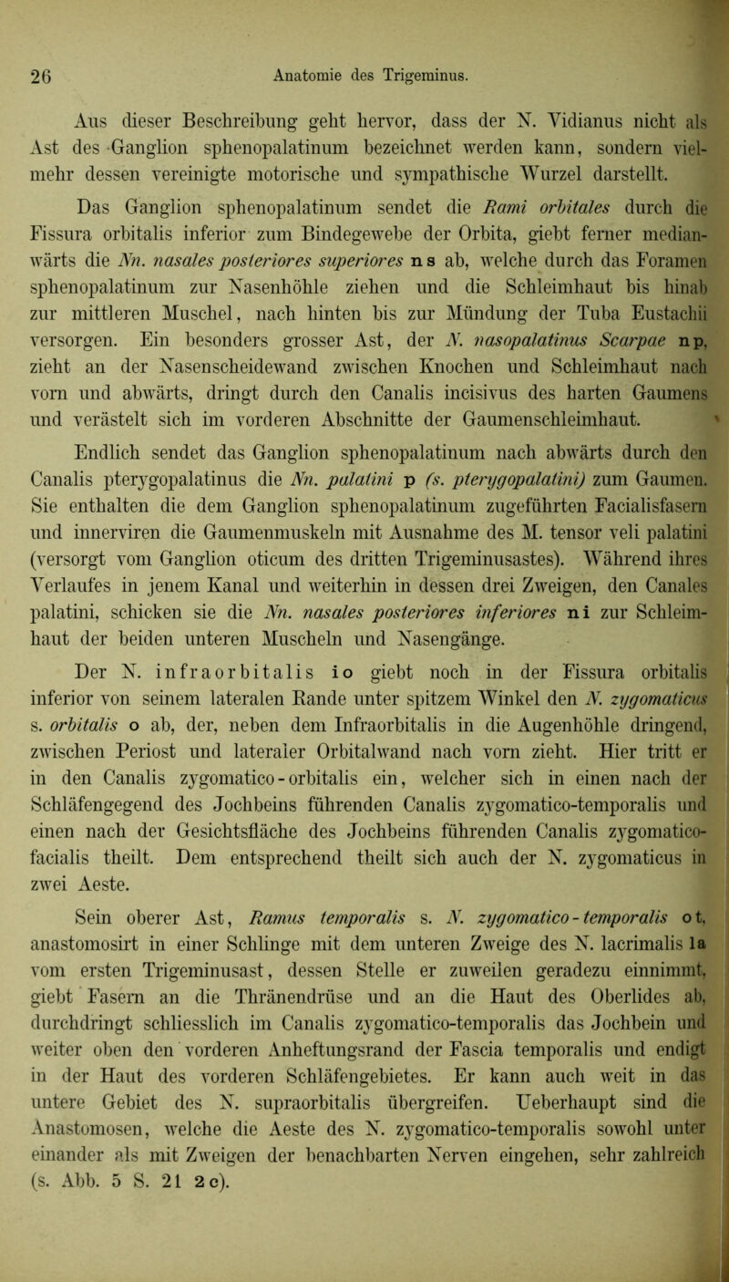 Aus dieser Beschreibung geht liervor, dass der N. Vidianus nicht als Ast des Ganglion sphenopalatinum bezeichnet werden kann, sondern viel- mehr dessen vereinigte motorische und sympathische Wurzel darstellt. Das Ganglion sphenopalatinum sendet die Rami orbitales durch die Fissura orbitalis inferior zmn Bindegewebe der Orbita, giebt femer median- wàrts die Nn. nasales posteriores superiores n s ab, welche durch das Foramen sphenopalatinum zur Nasenhôhle ziehen und die Schleimhaut bis hinab zur mittleren Muschel, nach hinten bis zur Mündung der Tuba Eustachii versorgen. Ein besonders grosser Ast, der N. nasopalatinus Scarpae np, zieht an der Xasenscheidewand zwischen Knochen und Schleimhaut nach vom und abwàrts, dringt durch den Canalis incisivus des harten Gaumens und verâstelt sich im vorderen Abschnitte der Gaumenschleimhaut. Endlich sendet das Ganglion sphenopalatinum nach abwârts durch den Canalis pterygopalatinus die Nn. palatini p fs. pterygopalatini) zum Gaumen. Sie enthalten die dem Ganglion sphenopalatinum zugeführten Facialisfasem und innerviren die Gaumenmuskeln mit Ausnahme des M. tensor veli palatini (versorgt vom Ganglion oticum des dritten Trigeminusastes). Wàhrend ihres Yerlaufes in jenem Kanal und weiterhin in dessen drei Zweigen, den Canales palatini, schicken sie die Nn. nasales posteriores inferior es ni zur Schleim- haut der beiden unteren Muscheln und Nasengânge. Der N. infraorbitalis io giebt noch in der Fissura orbitalis inferior von seinem lateralen Bande unter spitzem Winkel den N. zygomaticus s. orbitalis o ab, der, neben dem Infraorbitalis in die Augenhohle dringend, zwischen Periost und lateraier Orbitalwand nach vom zieht. Hier tritt er in den Canalis zygomatico - orbitalis ein, welcher sich in einen nach der Schlàfengegend des Jochbeins führenden Canalis zygomatico-temporalis und einen nach der Gesichtsflàche des Jochbeins führenden Canalis zygomatico- facialis theilt. Dem entsprechend theilt sich auch der N. zygomaticus in zwei Aeste. Sein obérer Ast, Ramus temporalis s. N. zygomatico-temporalis ot, anastomosirt in einer Schlinge mit dem unteren Zweige des N. lacrimalis la vom ersten Trigeminusast, dessen Stelle er zuweilen geradezu einnimmt, giebt Fasem an die Thrânendrüse und an die Haut des Oberlides ab, durchdringt schliesslich im Canalis zygomatico-temporalis das Jochbein und weiter oben den vorderen Anheftungsrand der Fascia temporalis und endigt in der Haut des vorderen Schlâfengebietes. Er kann auch weit in das untere Gebiet des N. supraorbitalis übergreifen. Ueberhaupt sind die Anastomosen, welche die Aeste des N. zygomatico-temporalis sowohl unter einander als mit Zweigen der henachbarten Xerven eingehen, sehr zahlreich (s. Abb. 5 S. 21 2 c).