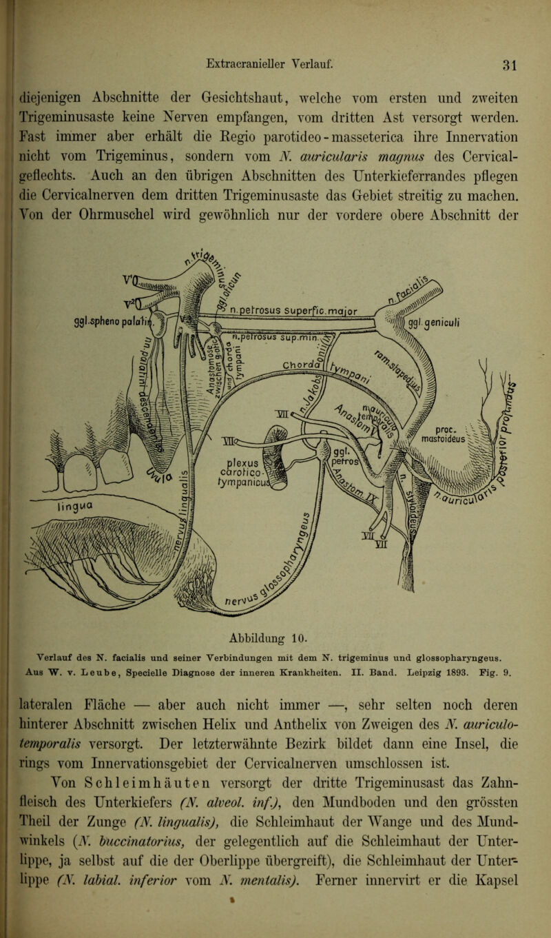 diejenigen Abschnitte der Gesichtshaut, welche vom ersten und zweiten Trigeminusaste keine Nerven empfangen, vom dritten Ast versorgt werden. Fast immer aber erhâlt die Regio parotideo - masseterica ibre Innervation nicht vom Trigeminus, sondern vom N. auricularis magnus des Cervical- geflechts. Auch an den übrigen Abscbnitten des Unterkieferrandes pflegen die Cervicalnerven dem dritten Trigeminusaste das Gebiet streitig zu machen. Yon der Ohrmuschel wird gewôhnlich nur der vordere obéré Abschnitt der Abbildung 10. Verlauf des N. facialis und seiner Verbindungen mit dem N. trigeminus und glossopharyngeus. Aus W. v. Leube, Specielle Diagnose der inneren Krankheiten. II. Band. Leipzig 1893. Fig. 9. lateralen Flâche — aber auch nicht immer —, sehr selten noch deren hinterer Abschnitt zwischen Hélix und Anthelix von Zweigen des N. auriculo- temporalis versorgt. Der letzterwâhnte Bezirk bildet dann eine Insel, die rings vom Innervationsgebiet der Cervicalnerven umschlossen ist. Yon Schleimhâuten versorgt der dritte Trigeminusast das Zahn- fleisch des TJnterkiefers (N. alveol. inf.), den Mundboden und den grôssten Theil der Zunge (N. Imgualis), die Schleimhaut der Wange und des Mund- winkels (Y. buccinatorius, der gelegentlich auf die Schleimhaut der Unter- lippe, ja selbst auf die der Oberlippe übergreift), die Schleimhaut der Untei- lippe (N. labial, mferior vom N. menlalis). Femer innervirt er die Kapsel