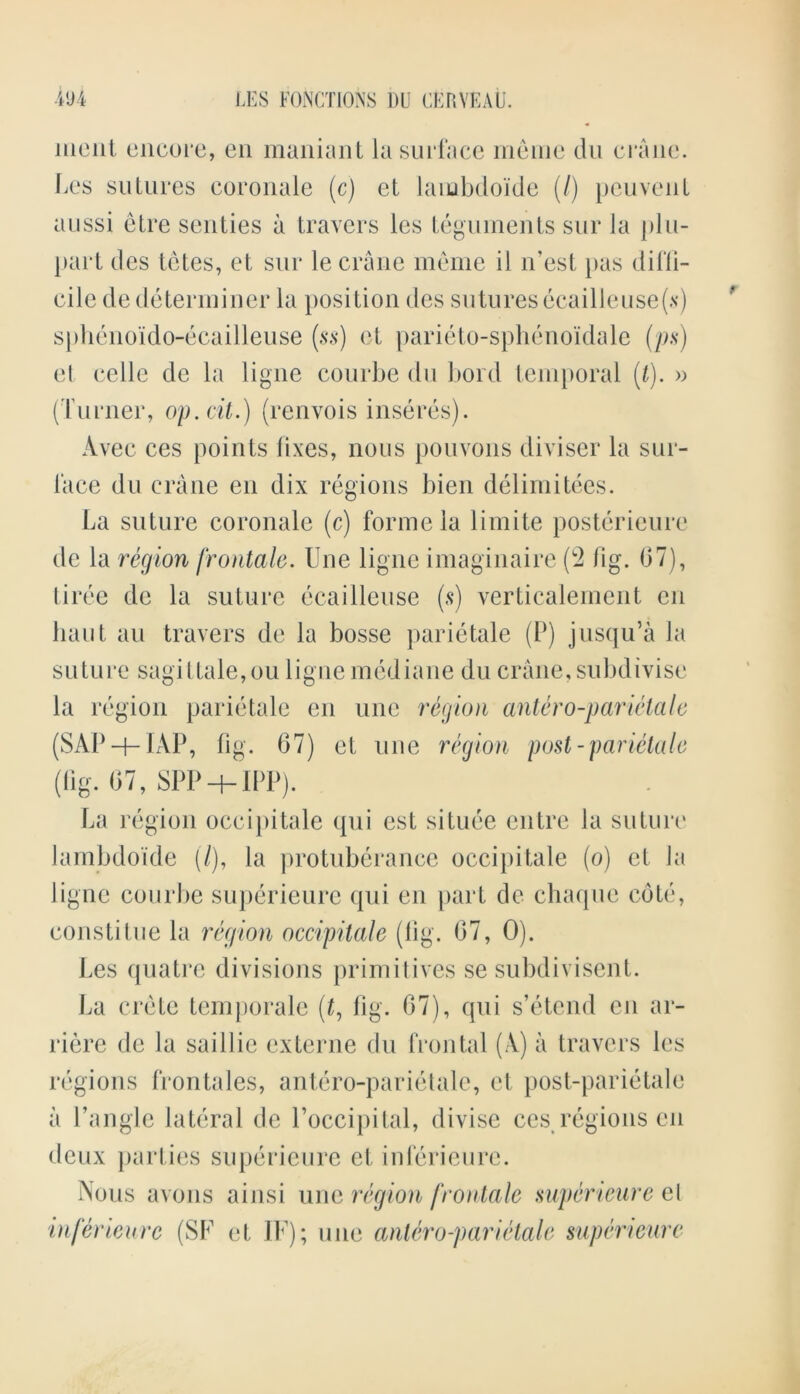 moilt encore, en maniant la surface meme du crane. Les sutures coronale (c) et lambdoide (/) pen vent aussi etre senties a travers les teguments sur la plu- part dcs tetes, et sur le crane meme il n’est pas diffi- cile de determiner la position dcs suturesecailleuse(s) splienoido-ecailleuse (ss) et parieto-sphenoidale (ps) et celle de la ligne courbe du bold temporal (t). » (Turner, op. tit.) (renvois inseres). Avec ces points fixes, nous pouvons diviser la sur- face du crane en dix regions bien delimitees. La suture coronale (c) forme la limite postcrieure de la region frontale. Une ligne imaginaire (2 fig. (37), tiree de la suture ecailleuse (s) verticalement en haut au travers de la bosse parietale (P) jusqu’a la suture sagiHale, ou ligne mediane du crane, subdivise la region parietale en une region anUro-parietale (SAP-MAP, fig. 67) et une region post-parietale (fig. 67, SPP-MPP). La region occipitale qui est situee entre la suture lambdoide (/), la protuberance occipitale (o) et la ligne courbe superieurc qui en part de chaque cote, constitue la region occipitale (fig. 67, 0). Les quatre divisions primitives se subdivisent. La crete temporale (£, fig. 67), qui s’etend en ar- riere de la saillie externe du frontal (A) a travers les regions frontales, antero-parietale, et post-parietale a Tangle lateral de Toccipital, divise ces regions en deux parties superieurc cl inferieure. Nous avons ainsi une region frontale supericure el inferieure (SF et IF); une antero-parietale supericure