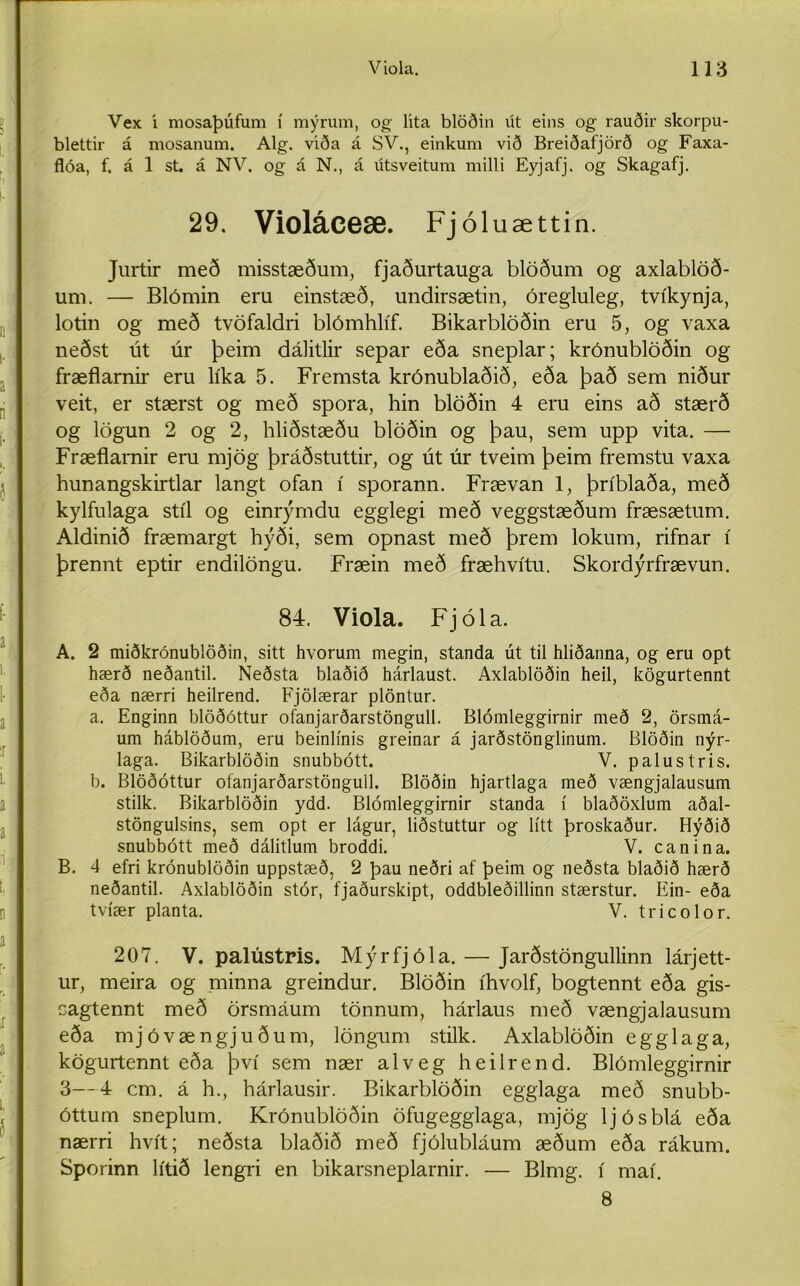 Vex i mosaþúfum í mýrum, og; lita blöðin út eins og rauðir skorpu- blettir á mosanum. Alg. viða á SV., einkum við Breiðafjörð og Faxa- flóa, f. á 1 st. á NV. og á N., á útsveitum milli Eyjafj. og Skagafj. 29. Violáceæ. Fjóluættin. Jurtir með misstæðum, fjaðurtauga blöðum og axlablöð- um. — Blómin eru einstæð, undirsætin, óregluleg, tvíkynja, lotin og með tvöfaldri blómhlíf. Bikarblöðin eru 5, og vaxa neðst út úr þeim dálitlir separ eða sneplar; krónublöðin og fræflarnú eru líka 5. Fremsta krónublaðið, eða það sem niður veit, er stærst og með spora, hin blöðin 4 eru eins að stærð og lögun 2 og 2, hliðstæðu blöðin og þau, sem upp vita. — Fræflarnir eru mjög þráðstuttir, og út úr tveim þeim fremstu vaxa hunangskirtlar langt ofan í sporann. Frævan 1, þríblaða, með kylfulaga stíl og einrýrndu egglegi með veggstæðum fræsætum. Aldinið fræmargt hýði, sem opnast með þrem lokum, rifnar í þrennt eptir endilöngu. Fræin með fræhvítu. Skordýrfrævun. 84. Viola. Fjóla. A. 2 miðkrónubiöðin, sitt hvorum megin, standa út til hliðanna, og eru opt hærð neðantil. Neðsta blaðið hárlaust. Axlablöðin heil, kögurtennt eða nærri heilrend. Fjölærar plöntur. a. Enginn blöðóttur ofanjarðarstöngull. Blómleggirnir með 2, örsmá- um háblöðum, eru beinlínis greinar á jarðstönglinum. Blöðin nýr- laga. Bikarblöðin snubbótt. V. palustris. b. Blöðóttur ofanjarðarstöngull. Blöðin hjartlaga með vængjalausum stilk. Bikarblöðin ydd. Blómleggirnir standa í blaðöxlum aðal- stöngulsins, sem opt er lágur, liðstuttur og lítt þroskaður. Hýðið snubbótt með dálitlum broddi. V. canina. B. 4 efri krónublöðin uppstæð, 2 þau neðri af þeim og neðsta blaðið hærð neðantil. Axlablöðin stór, fjaðurskipt, oddbleðillinn stærstur. Ein- eða tvíær planta. V. tricolor. 207. V. palústris. Mýrfjóla. — Jarðstöngullinn lárjett- ur, meira og minna greindur. Blöðin íhvolf, bogtennt eða gis- oagtennt með örsmáum tönnum, hárlaus með vængjalausum eða mjóvængjuðum, löngum stilk. Axlablöðin egglaga, kögurtennt eða því sem nær alveg heilrend. Blómleggirnir 3—4 cm. á h., hárlausir. Bikarblöðin egglaga með snubb- óttum sneplum. Krónublöðin öfugegglaga, mjög ljósblá eða nærri hvít; neðsta blaðið með fjólubláum æðum eða rákum. Sporinn lítið lengri en bikarsneplarnir. — Blmg. í maí. 8