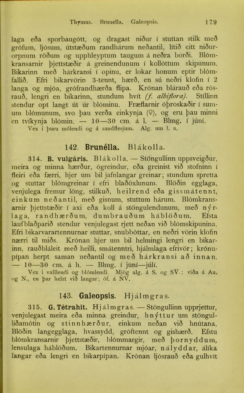 laga eða sporbaugótt, og dragast niður í stuttan stilk með grófum, ljósum, útstæðum randhárum neðantil, lítið eitt niður- orpnum röðum og upphleyptum taugum á neðra borði. Blóm- kransarnir þjettstæðir á greinendunum í kollóttum skipunum. Bikarinn með hárkransi í opinu, er lokar honum eptir blóm- fallið. Efri bikarvörin 3-tennt, hærð, en sú neðri klofin í 2 langa og mjóa, grófrandhærða flipa. Krónan blárauð eða rós- rauð, lengri en bikarinn, stundum hvít (f albiflora). Stíllinn stendur opt langt út úr blóminu. Fræflarnir óþroskaðir í sum- um blómunum, svo þau verða einkynja (9), og eru þau minni en tvíkynja blómin. — 10—30 cm. á 1. — Blmg. í júní. Vex í þuru niólendi og á sandflesjum. Alg. um 1. a. 142. Bpunélla. Blákolla. 314. B. vulg’áris. Blákolla. — Stöngullinn uppsveigður, meira og minna hærður, ógreindur, eða greinist við stofninn í fleiri eða færri, hjer um bil jafnlangar greinar; stundum spretta og stuttar blómgreinar í efri blaðöxlunum. Blöðin egglaga, venjulega fremur löng, stilkuð, heilrend eða gissmátennt, einkum neðantil, með gisnum, stuttum hárum. Blómkrans- arnir þjettstæðir í axi eða koll á stöngulendunum, með nýr- laga, randhærðum, dumbrauðum háblöðum. Efsta laufblaðparið stendur venjulegast rjett neðan við blómskipunina. Efri bikarvarartennurnar stuttar, snubbóttar, en neðri vörin klofin nærri til miðs. Krónan hjer um bil helmingi lengri en bikar- inn, rauðbláleit með heilli, smátenntri, hjálmlaga efrivör; krónu- pípan herpt saman neðantil og með hárkransi að innan. — 10—30 cm. á h. — Blmg. í júní—júlí. Vex i valllendi og blómlendi. Mjög alg. á S. og SV.; viða á Au. og N., en þar helzt við laugar; óf. á NV. 143. Galeopsis. Hjálmgras. 315. G. Tétrahit. Hjálmgras. — Stöngullinn upprjettur, venjulegast meira eða minna greindur, hnýttur um stöngul- liðamótin og stinnhærður, einkum neðan við hnútana. Blöðin langegglaga, hvassydd, gróftennt og gishærð. Efstu blómkransarnir þjettstæðir, blómmargir, með þornyddum, lensulaga háblöðum. Bikartennurnar mjóar, nályddar, álíka langar eða lengri en bikarpípan. Krónan ljósrauð eða gulhvít