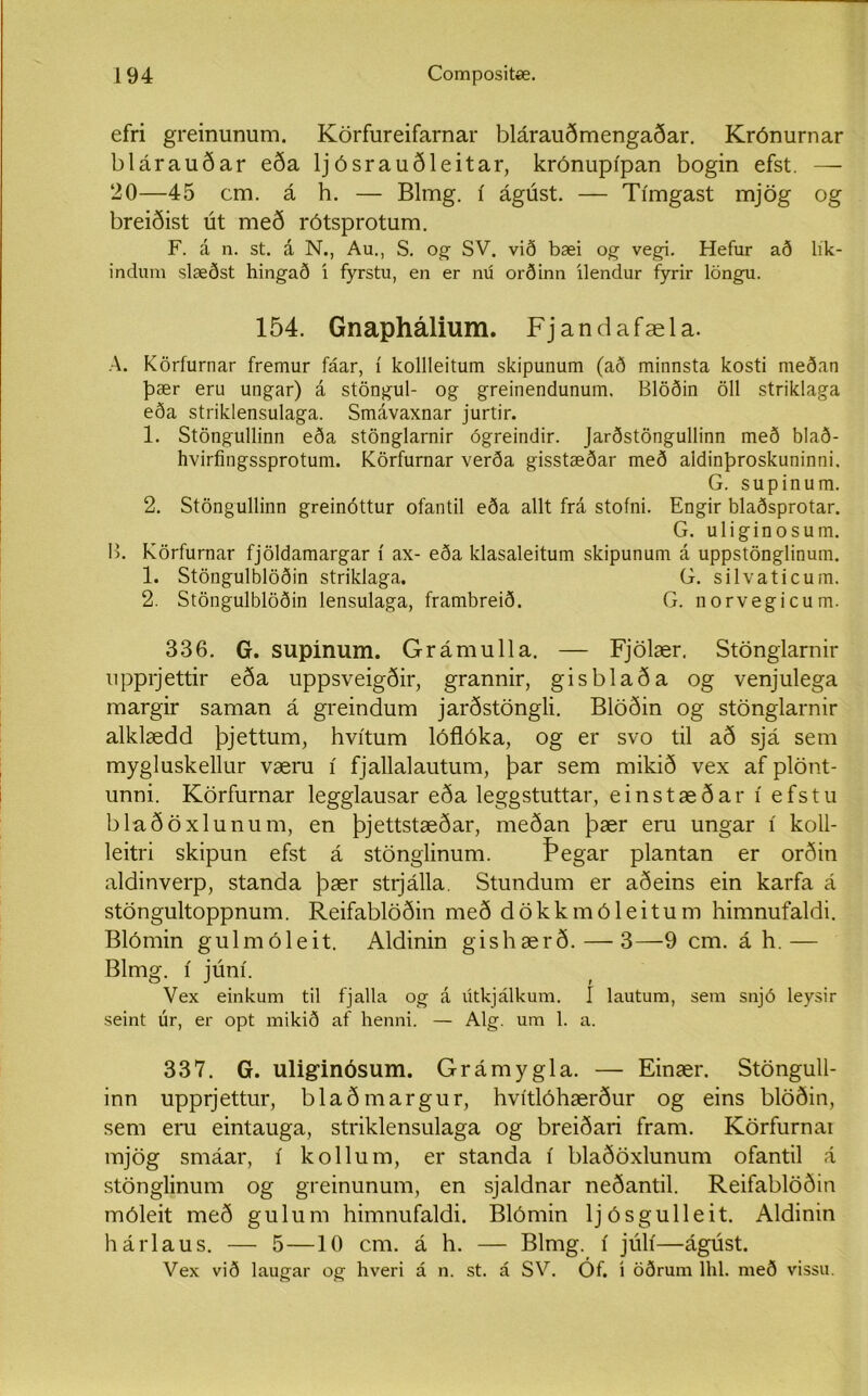 efri greinurmm. Körfureifarnar blárauðmengaðar. Krónurnar blárauðar eða ljósrauðleitar, krónupípan bogin efst. — 20—45 cm. á h. — Blrng. í ágúst. — Tímgast mjög og breiðist út með rótsprotum. F. á n. st. á N., Au., S. og- SV. við bæi og vegi. Hefur að lík- indum slæðst hingað í fyrstu, en er nú orðinn ílendur fyrir löngu. 154. Gnaphálium. Fjandafæla. A. Körfurnar fremur fáar, í kollleitum skipunum (að minnsta kosti meðan þær eru ungar) á stöngul- og greinendunum. Blöðin öll striklaga eða striklensulaga. Smávaxnar jurtir. 1. Stöngullinn eða stönglarnir ógreindir. Jarðstöngullinn með blað- hvirfingssprotum. Körfurnar verða gisstæðar með aidinþroskuninni. G. supinum. 2. Stöngullinn greinóttur ofantil eða allt frá stofni. Engir blaðsprotar. G. uliginosum. B. Körfurnar fjöld.amargar í ax- eða klasaleitum skipunum á uppstönglinum. 1. Stöngulblöðin striklaga. G. silvaticum. 2. Stöngulblöðin lensulaga, frambreið. G. norvegicum. 336. G. supinum. Grámulla. — Fjölær. Stönglarnir upprjettir eða uppsveigðir, grannir, gisblaða og venjulega margir saman á greindum jarðstöngli. Blöðin og stönglarnir alklædd þjettum, hvítum lóflóka, og er svo til að sjá sem mygluskellur væru í fjallalautum, þar sem mikið vex af plönt- unni. Körfurnar legglausar eða leggstuttar, einstæðar í efstu blaðöxlunum, en þjettstæðar, meðan þær eru ungar í koll- leitri skipun efst á stönglinum. Þegar plantan er orðin aldinverp, standa þær strjálla. Stundum er aðeins ein karfa á stöngultoppnum. Reifablöðin með dökkmóleitum himnufaldi. Blómin gulmóleit. Aldinin gishærð. — 3—9 cm. á h.— Blmg. í júní. Vex einkum til fjalla og á útkjálkum. I lautum, sem snjó leysir seint úr, er opt mikið af henni. — Alg. um 1. a. 337. G. uliglnósum. Grámygla. — Einær. Stöngull- inn upprjettur, blaðmargur, hvítlóhærður og eins blöðin, sem eru eintauga, striklensulaga og breiðari fram. Körfurnai mjög smáar, í kollum, er standa í blaðöxlunum ofantil á stönglinum og greinunum, en sjaldnar neðantil. Reifablöðin móleit með gulum himnufaldi. Blómin ljósgulleit. Aldinin hárlaus. — 5—10 cm. á h. — Blmg. í júlí—ágúst. Vex við laugar og hveri á n. st. á SV. Óf. í öðrum lhl. með vissu.