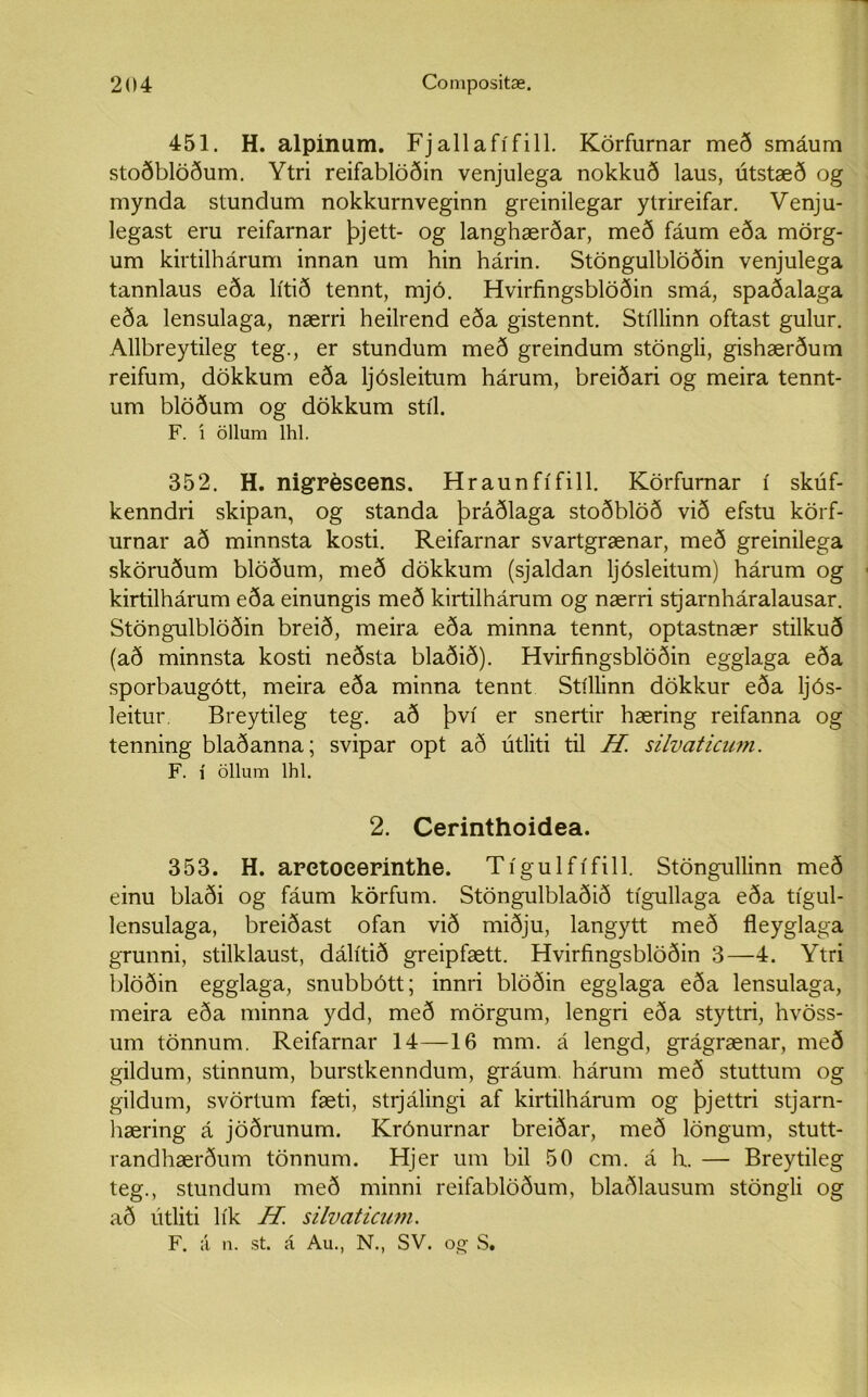 451. H. alpinum. Fjallafífill. Körfurnar með smáum stoðblöðum. Ytri reifablöðin venjulega nokkuð laus, útstæð og mynda stundum nokkurnveginn greinilegar ytrireifar. Venju- legast eru reifarnar þjett- og langhærðar, með fáum eða mörg- um kirtilhárum innan um hin hárin. Stöngulblöðin venjulega tannlaus eða lítið tennt, mjó. Hvirfingsblöðin smá, spaðalaga eða lensulaga, nærri heilrend eða gistennt. Stíllinn oftast gulur. Allbreytileg teg., er stundum með greindum stöngli, gishærðum reifum, dökkum eða ljósleitum hárum, breiðari og meira tennt- um blöðum og dökkum stíl. F. í öllum lhl. 352. H. nigréseens. Hraunfífill. Körfurnar í skúf- kenndri skipan, og standa þráðlaga stoðblöð við efstu körf- urnar að minnsta kosti. Reifarnar svartgrænar, með greinilega sköruðum blöðum, með dökkum (sjaldan ljósleitum) hárum og kirtilhárum eða einungis með kirtilhárum og nærri stjarnháralausar. Stöngulblöðin breið, meira eða minna tennt, optastnær stilkuð (að minnsta kosti neðsta blaðið). Hvirfingsblöðin egglaga eða sporbaugótt, meira eða minna tennt Stíllinn dökkur eða ljós- leitur. Breytileg teg. að því er snertir hæring reifanna og tenning blaðanna; svipar opt að útliti til H silvaticum. F. í öllum lhl. 2. Cerinthoidea. 353. H. apetoeerínthe. Tígulfífill. Stöngullinn með einu blaði og fáum körfum. Stöngulblaðið tígullaga eða tígul- lensulaga, breiðast ofan við miðju, langytt með fleyglaga grunni, stilklaust, dálítið greipfætt. Hvirfingsblöðin 3—4. Ytri blöðin egglaga, snubbótt; innri blöðin egglaga eða lensulaga, meira eða minna ydd, með mörgum, lengri eða styttri, hvöss- um tönnum. Reifarnar 14—16 mm. á lengd, grágrænar, með gildum, stinnum, burstkenndum, gráum hárum með stuttum og gildum, svörtum fæti, strjálingi af kirtilhárum og þjettri stjarn- hæring á jöðrunum. Krónurnar breiðar, með löngum, stutt- randhærðum tönnum. Hjer um bil 50 cm. á h. — Breytileg teg., stundum með minni reifablöðum, blaðlausum stöngli og að útliti lík H silvaticum. F. á n. st. á Au., N., SV. oc S.