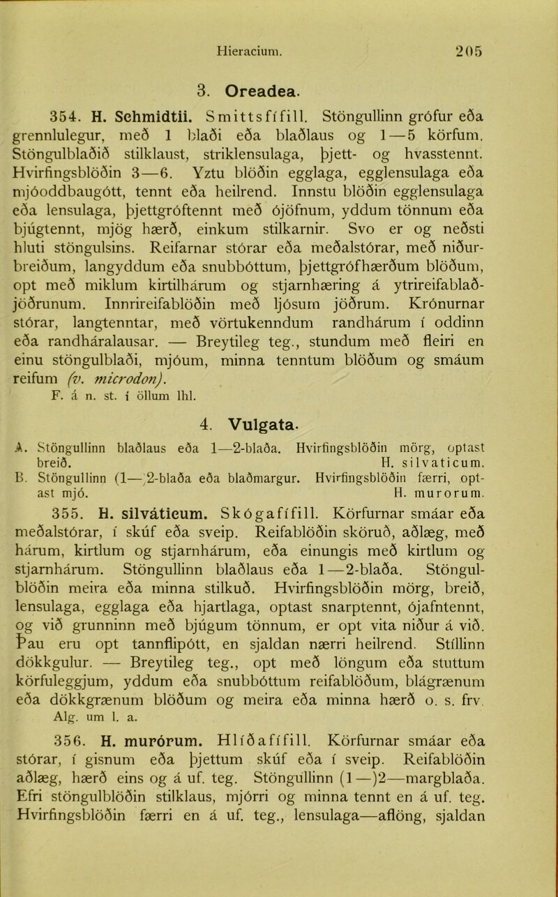 3. Oreadea. 354. H. Sehmidtii. Smittsfífill. Stöngullinn grófur eða grennlulegur, með 1 blaði eða blaðlaus og 1 — 5 körfum. Stöngulblaðið stilklaust, striklensulaga, þjett- og hvasstennt. Hvirfingsblöðin 3—6. Yztu blöðin egglaga, egglensulaga eða mjóoddbaugótt, tennt eða heilrend. Innstu blöðin egglensulaga eða lensulaga, þjettgróftennt með ójöfnum, yddum tönnum eða bjúgtennt, mjög hærð, einkum stilkarnir. Svo er og neðsti hluti stöngulsins. Reifarnar stórar eða meðalstórar, með niður- breiðum, langyddum eða snubbóttum, þjettgrófhærðum blöðum, opt með miklum kirtilhárum og stjarnhæring á ytrireifablað- jöðrunum. Innrireifablöðin með ljósum jöðrum. Krónurnar stórar, langtenntar, með vörtukenndum randhárum í oddinn eða randháralausar. — Breytileg teg., stundum með fleiri en einu stöngulblaði, mjóum, minna tenntum blöðum og smáum reifum (v. microdon). F. á n. st. í öllum lhl. 4. Vulgata. A. Stöngullinn blaðlaus eða 1—2-blaða. Hvirfingsblöðin mörg, optast breið. H. silvaticum. B. Stöngullinn (1—2-blaða eða blaðmargur. Hvirfingsblöðin færri, opt- ast mjó. H. murorum. 355. H. silvátieum. Skógafífill. Körfurnar smáar eða meðalstórar, í skúf eða sveip. Reifablöðin sköruð, aðlæg, með hárum, kirtlum og stjarnhárum, eða einungis með kirtlum og stjamhárum. Stöngullinn blaðlaus eða 1—2-blaða. Stöngul- blöðin meira eða minna stilkuð. Hvirfingsblöðin mörg, breið, lensulaga, egglaga eða hjartlaga, optast snarptennt, ójafntennt, og við grunninn með bjúgum tönnum, er opt vita niður á við. Þau eru opt tannflipótt, en sjaldan nærri heilrend. Stíllinn dökkgulur. — Breytileg teg., opt með löngum eða stuttum körfuleggjum, yddum eða snubbóttum reifablöðum, blágrænum eða dökkgrænum blöðum og meira eða minna hærð o. s. frv Alg. um 1. a. 356. H. murórum. Hlíðafífill. Körfurnar smáar eða stórar, í gisnum eða þjettum skúf eða í sveip. Reifablöðin aðlæg, hærð eins og á uf. teg. Stöngullinn (1—)2—margblaða. Efri stöngulblöðin stilklaus, mjórri og minna tennt en á uf. teg. Hvirfingsblöðin færri en á uf. teg., lensulaga—aflöng, sjaldan