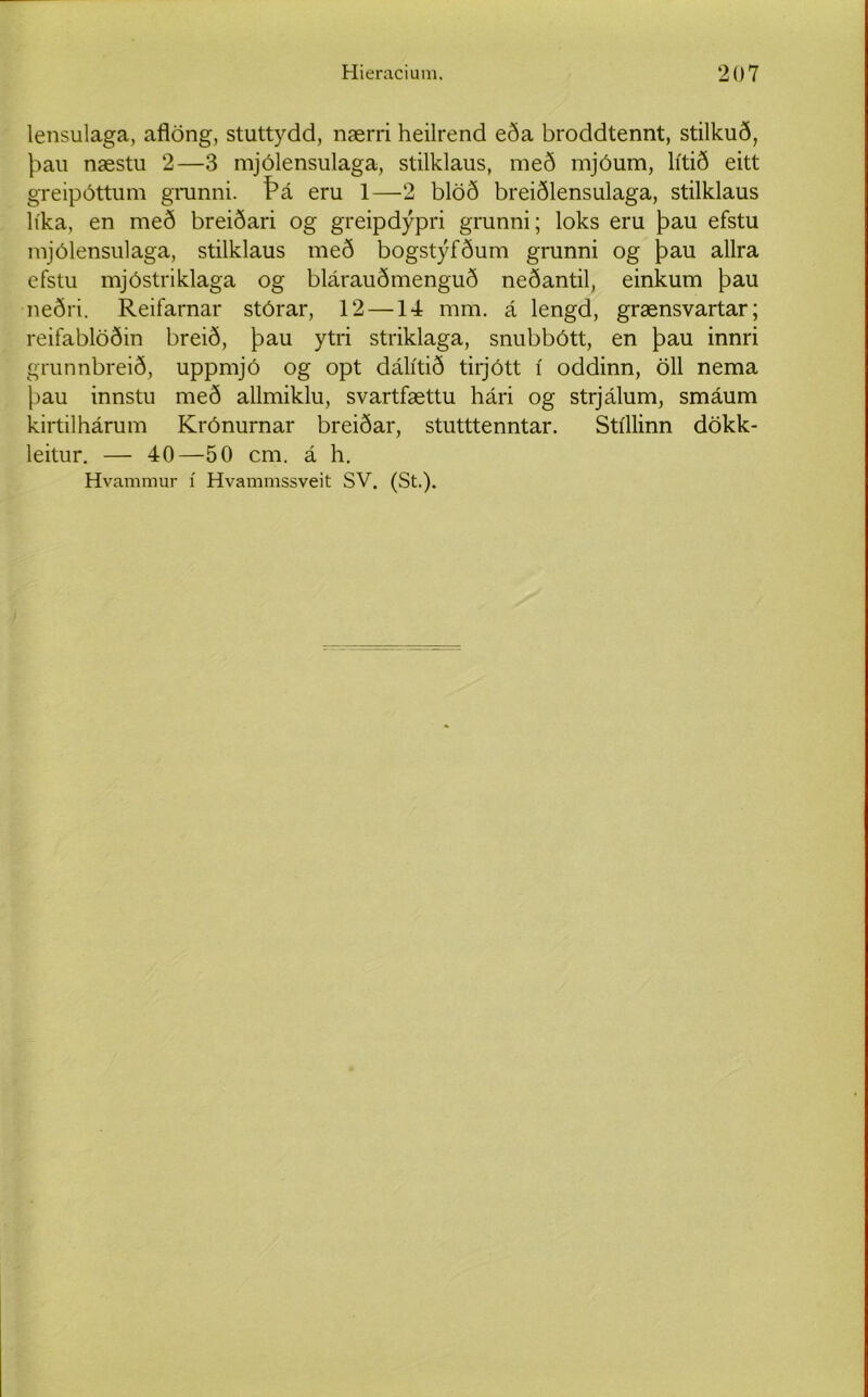 lensulaga, aflöng, stuttydd, nærri heilrend eða broddtennt, stilkuð, þau næstu 2—3 mjólensulaga, stilklaus, með mjóum, lítið eitt greipóttum grunni. Þá eru 1—2 blöð breiðlensulaga, stilklaus líka, en með breiðari og greipdýpri grunni; loks eru þau efstu mjólensulaga, stilklaus með bogstýfðum grunni og þau allra efstu mjóstriklaga og blárauðmenguð neðantil, einkum þau neðri. Reifarnar stórar, 12 —14 mm. á lengd, grænsvartar; reifablöðin breið, þau ytri striklaga, snubbótt, en þau innri grunnbreið, uppmjó og opt dálítið tirjótt í oddinn, öll nema þau innstu með allmiklu, svartfættu hári og strjálum, smáum kirtilhárum Krónurnar breiðar, stutttenntar. Stíllinn dökk- leitur. — 40—50 cm. á h. Hvammur í Hvammssveit SV. (St.).