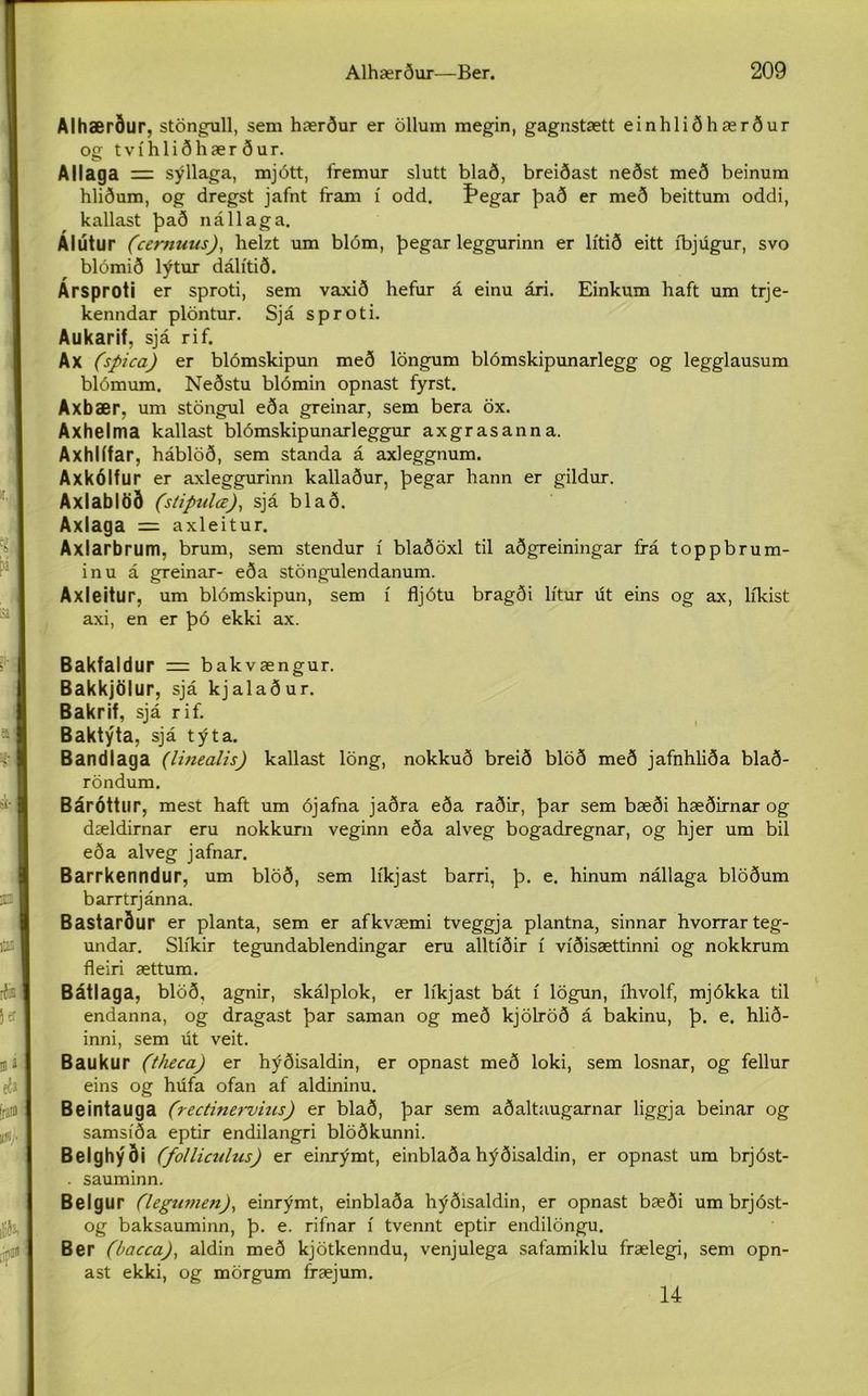 Alhærður, stöngull, sem hærður er öllum megin, gagnstætt einhliðhærður og t v í h 1 i ð h æ r ð u r. Allaga = sýllaga, mjótt, fremur slutt blað, breiðast neðst með beinum hliðum, og dregst jafnt fram í odd. f*egar það er með beittum oddi, kallast það nállaga. Álútur (ccrnuus), helzt um blóm, þegar leggurinn er lítið eitt íbjúgur, svo blómið lýtur dálítið. Ársproti er sproti, sem vaxið hefur á einu ári. Einkum haft um trje- kenndar plöntur. Sjá sproti. Aukarif, sjá rif. Ax (spica) er blómskipun með löngum blómskipunarlegg og legglausum blómum. Neðstu blómin opnast fyrst. Axbær, um stöngul eða greinar, sem bera öx. Axhelma kallast blómskipunarleggur axgrasanna. Axhlífar, háblöð, sem standa á axleggnum. Axkólfur er axleggurinn kallaður, þegar hann er gildur. Axlablöð (stipulœ), sjá blað. Axlaga = axleitur. Axlarbrum, brum, sem stendur í blaðöxl til aðgreiningar frá toppbrum- inu á greinar- eða stöngulendanum. Axleitur, um blómskipun, sem í fljótu bragði lítur út eins og ax, líkist axi, en er þó ekki ax. Bakfaldur = bakvængur. Bakkjölur, sjá kjalaður. Bakrif, sjá rif. Baktýta, sjá týta. Bandlaga (linealis) kallast löng, nokkuð breið blöð með jafnhliða blað- röndum. Báróttlir, mest haft um ójafna jaðra eða raðir, þar sem bæði hæðirnar og dældirnar eru nokkurn veginn eða alveg bogadregnar, og hjer um bil eða alveg jafnar. Barrkenndur, um blöð, sem líkjast barri, þ. e. hinum nállaga blöðum barrtrjánna. Bastarður er planta, sem er afkvæmi tveggja plantna, sinnar hvorrar teg- undar. Slíkir tegundablendingar eru alltíðir í víðisættinni og nokkrum fleiri ættum. Bátlaga, blöð, agnir, skálplok, er líkjast bát í lögun, íhvolf, mjókka til endanna, og dragast þar saman og með kjölröð á bakinu, þ. e. hlið- inni, sem út veit. Baukur (theca) er hýðisaldin, er opnast með loki, sem losnar, og fellur eins og húfa ofan af aldininu. Beintauga (rectinervius) er blað, þar sem aðaltaugarnar liggja beinar og samsíða eptir endilangri blöðkunni. Belghýði (folliculus) er einrýmt, einblaða hýðisaldin, er opnast um brjóst- . sauminn. Belgur (legtimen), einrýmt, einblaða hýðisaldin, er opnast bæði um brjóst- og baksauminn, þ. e. rifnar í tvennt eptir endilöngu. Ber (bacca), aldin með kjötkenndu, venjulega safamiklu frælegi, sem opn- ast ekki, og mörgum fræjum. 14