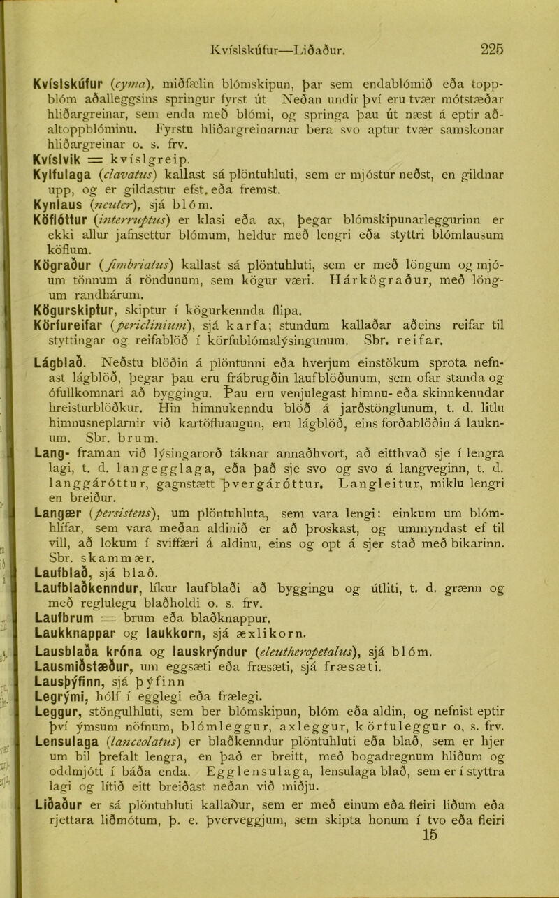 Kvíslsklífur (cyma), miðfælin blómskipun, þar sem endablómið eða topp- blóm aðalleggsins springur fyrst út Neðan undir því eru tvær mótstæðar hliðargreinar, sem enda með blómi, og springa þau út næst á eptir að- altoppblóminu. Fyrstu hliðargreinarnar bera svo aptur tvær samskonar hliðargreinar o. s. írv. Kvíslvik = kvíslgreip. Kylfulaga ('clavatus) kallast sá plöntuhluti, sem er mjóstur neðst, en gildnar upp, og er gildastur efst. eða fremst. Kynlaus (ncuter), sjá blóm. KÖflÓttur (interruptus) er klasi eða ax, þegar blómskipunarleggurinn er ekki allur jafnsettur blómum, heldur með lengri eða styttri blómlausum köflum. KÖgraður (fimbriatus) kallast sá plöntuhluti, sem er með löngum og mjó- um tönnum á röndunum, sem kögur væri. Hárkögraður, með löng- um randhárum. Kögurskiptur, skiptur í kögurkennda flipa. Körfureifar (periclinium), sjá karfa; stundum kallaðar aðeins reifar til styttingar og reifablöð í körfublómalýsingunum. Sbr. reifar. Lágblað. Neðstu blöðin á plöntunni eða hverjum einstökum sprota nefn- ast lágblöð, þegar þau eru frábrugðin laufblöðunum, sem ofar standa og ófullkomnari að byggingu. í’au eru venjulegast himnu- eða skinnkenudar hreisturblöðkur. Hin himnukenndu blöð á jarðstönglunum, t. d. litlu himnusneplarnir við kartöfluaugun, eru lágblöð, eins forðablöðin á laukn- um. Sbr. brum. Lang- framan við lýsingarorð táknar annaðhvort, að eitthvað sje í lengra lagi, t. d. langegglaga, eða það sje svo og svo á langveginn, t. d. langgáróttu r, gagnstætt þ vergár óttur. Langleitur, miklu lengri en breiður. Langær (persistens), um plöntuhluta, sem vara lengi: einkum um blóm- hlífar, sem vara meðan aldinið er að þroskast, og ummyndast ef til vill, að lokum í sviffæri á aldinu, eins og opt á sjer stað með bikarinn. Sbr. skammær. Laufblað, sjá blað. Laufblaðkenndur, lfkur laufblaði að byggingu og útliti, t. d. grænn og með reglulegu blaðholdi o. s. frv. Laufbrum = brum eða blaðknappur. Laukknappar og laukkorn, sjá æxlikorn. Lausblaða króna og lauskrýndur (eleutheropetalus), sjá blóm. Lausmiðstæður, um eggsæti eða fræsæti, sjá fræsæti. Lausþýfinn, sjá þýfinn Legrými, hólf í egglegi eða frælegi. Leggur, stöngulhluti, sem ber blómskipun, blóm eða aldin, og nefnist eptir því ýmsum nöfnum, blómleggur, axleggur, köríuleggur o. s. frv. Lensulaga (lanceolatus) er blaðkenndur plöntuhluti eða blað, sem er hjer um bil þrefalt lengra, en það er breitt, með bogadregnum hliðum og odclmjótt í báða enda. Egglensulaga, lensulaga blað, sem er í styttra lagi og lítið eitt breiðast neðan við miðju. Liðaður er sá plöntuhluti kallaður, sem er með einum eða fleiri liðum eða rjettara liðmótum, þ. e. þverveggjum, sem skipta honum í tvo eða fleiri 15